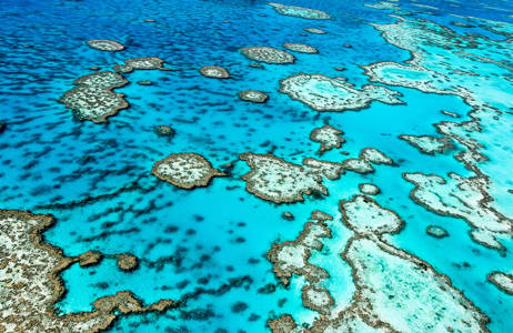 you have to see the Great Barrier Reef during your studies in australia