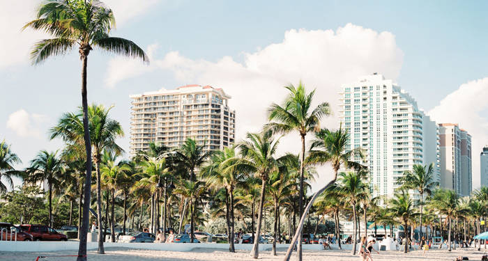 Miami with buildings and palm trees on the beach