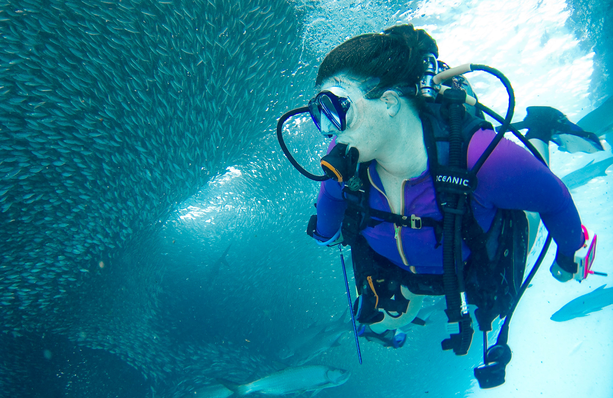 diving-female-diver-fish-cover