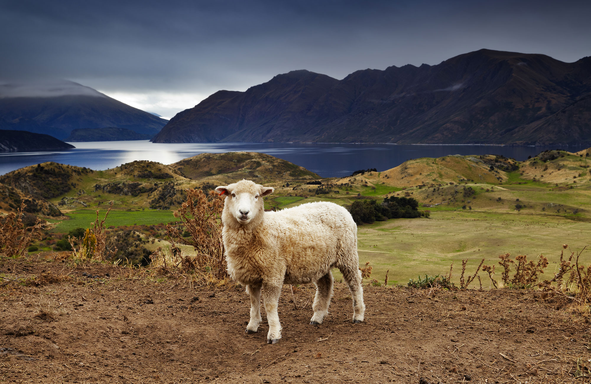 Working holiday | Work and travel | KILROY