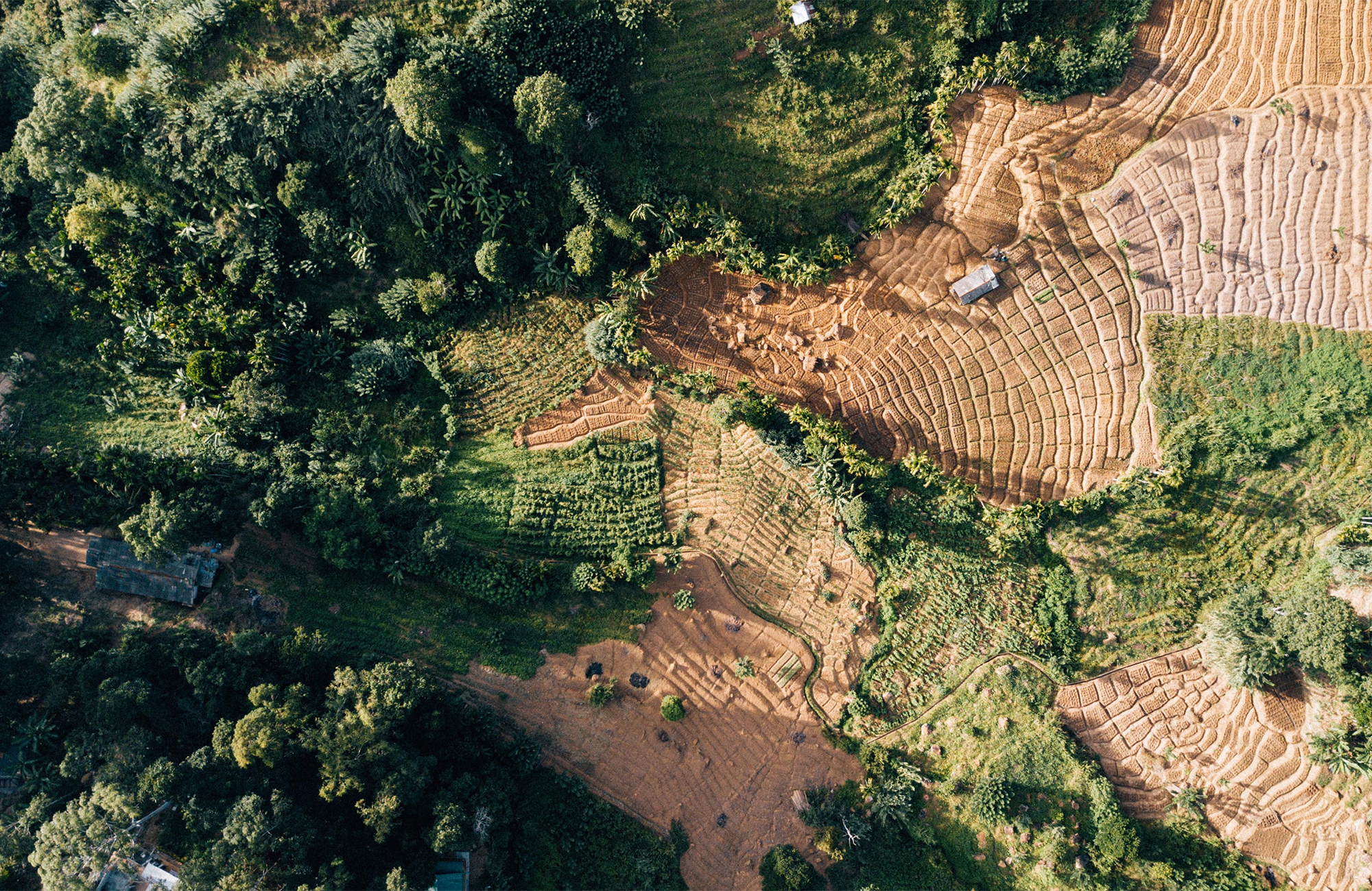 ella-sri-lanka-countryside-view-from-above-cover
