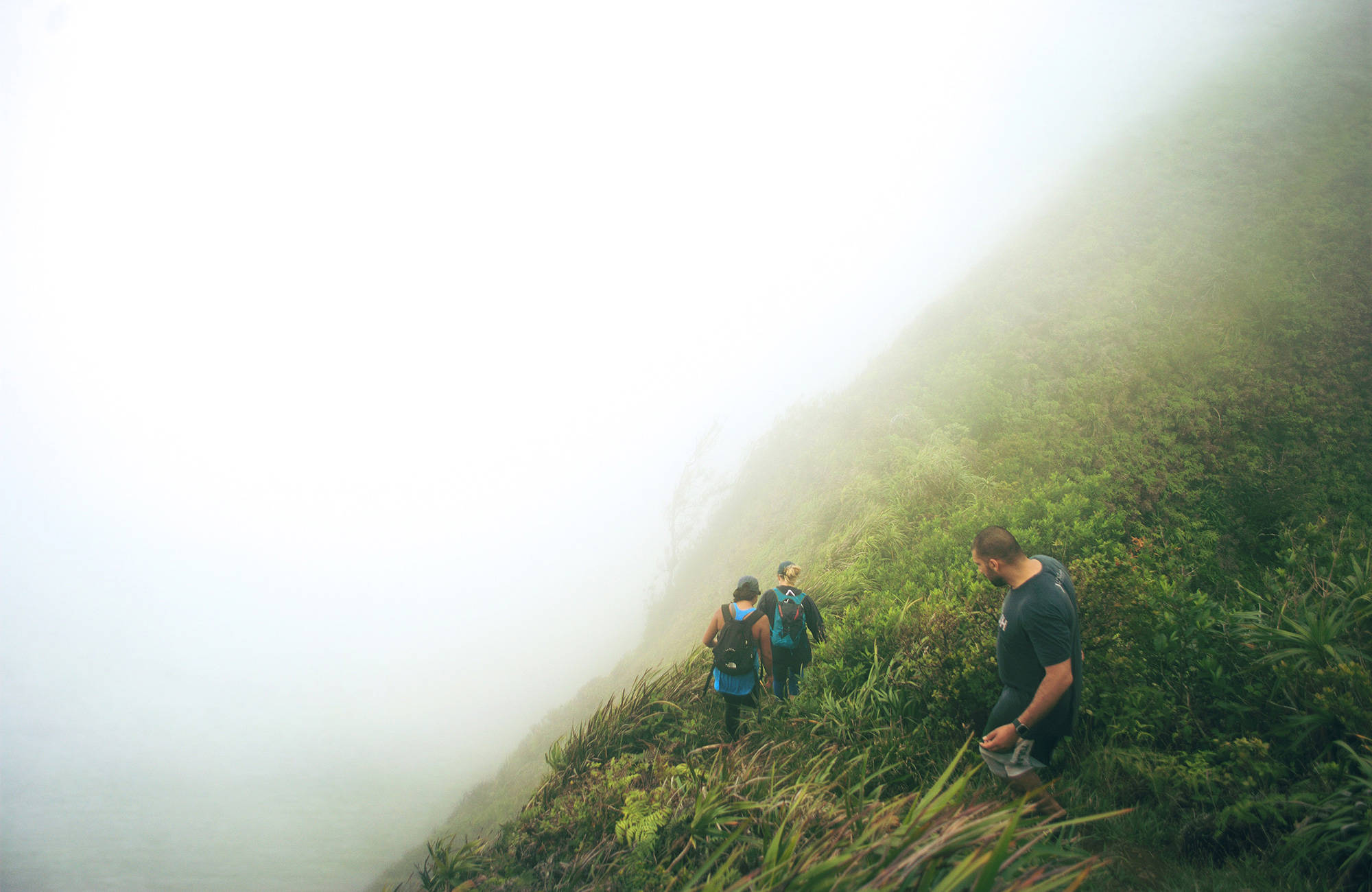 Three students in Hawaii trekking