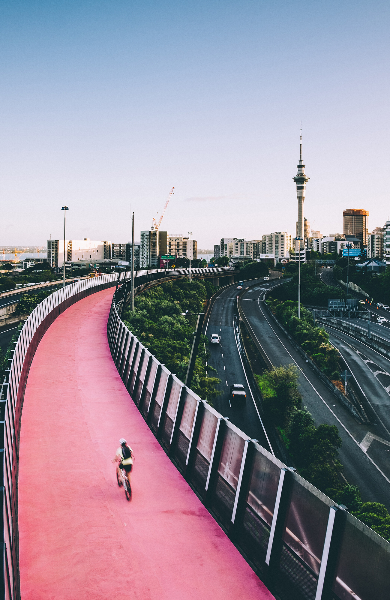 auckland-city-view-biking-lane-sidebar