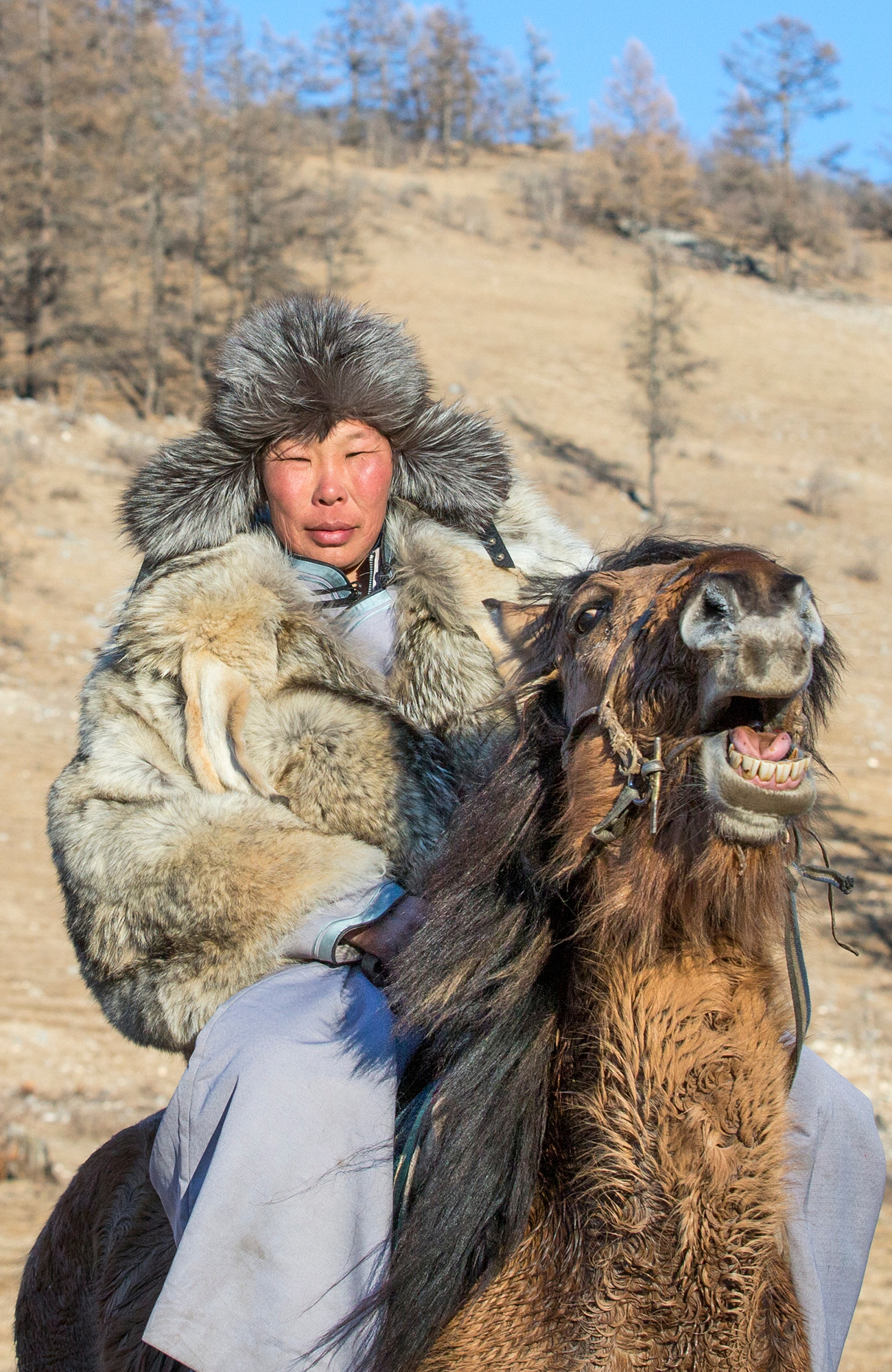 mongolia-mongoliaman-horse-sidebar