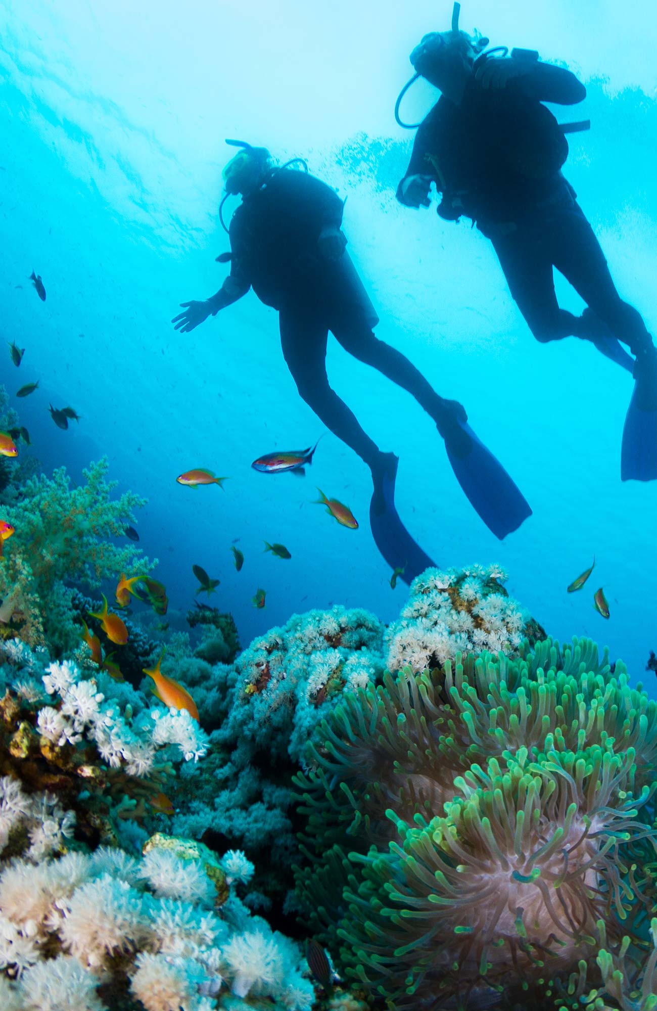 diving-general-couple-coral-sidebar