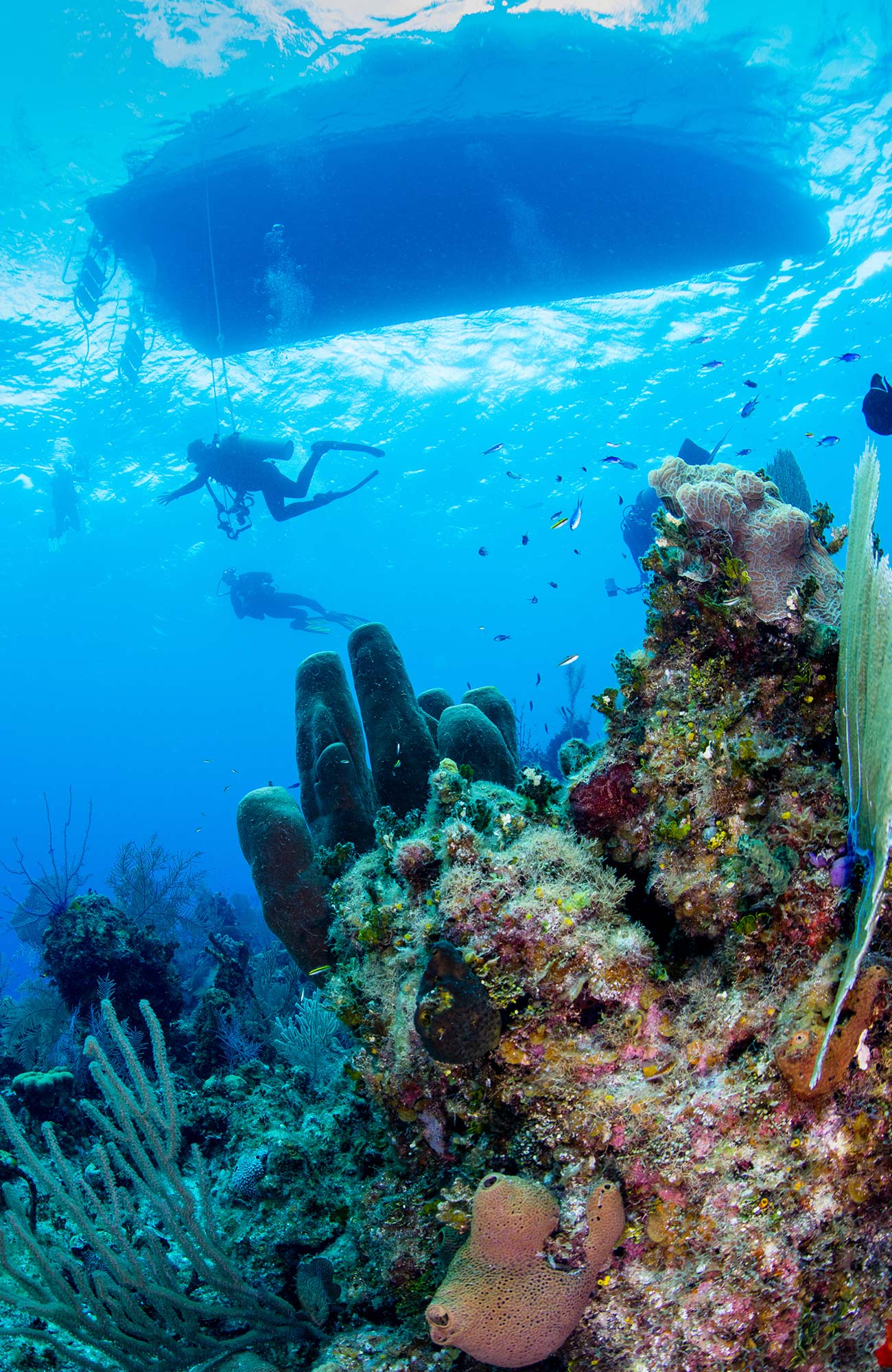 diving-coral-divers-boat-sidebar