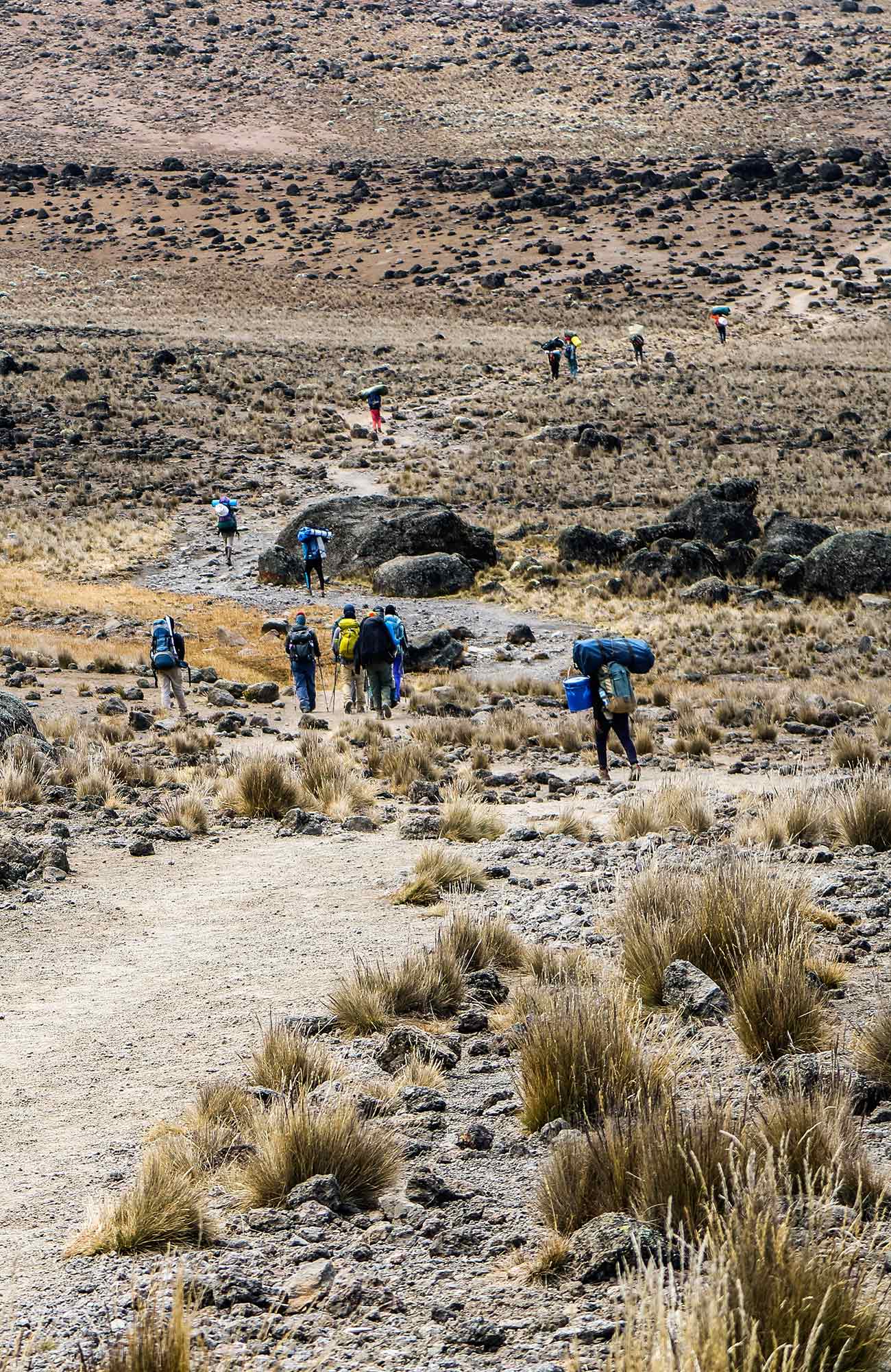 trekking-kilimanjaro-backpackers-sidebar