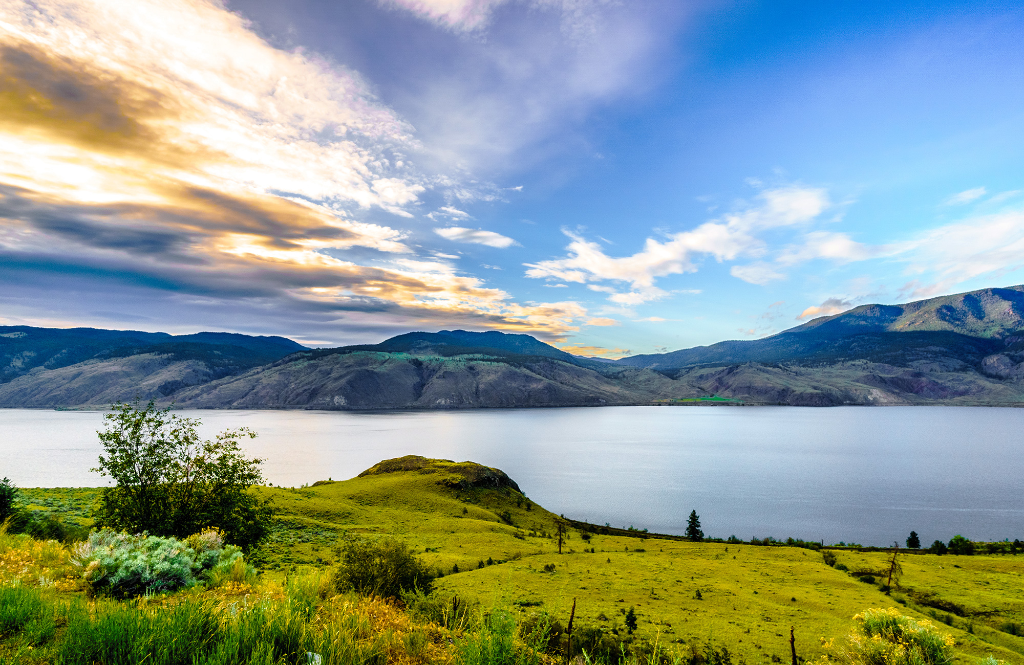 nature and a lake in kamloops in Canada