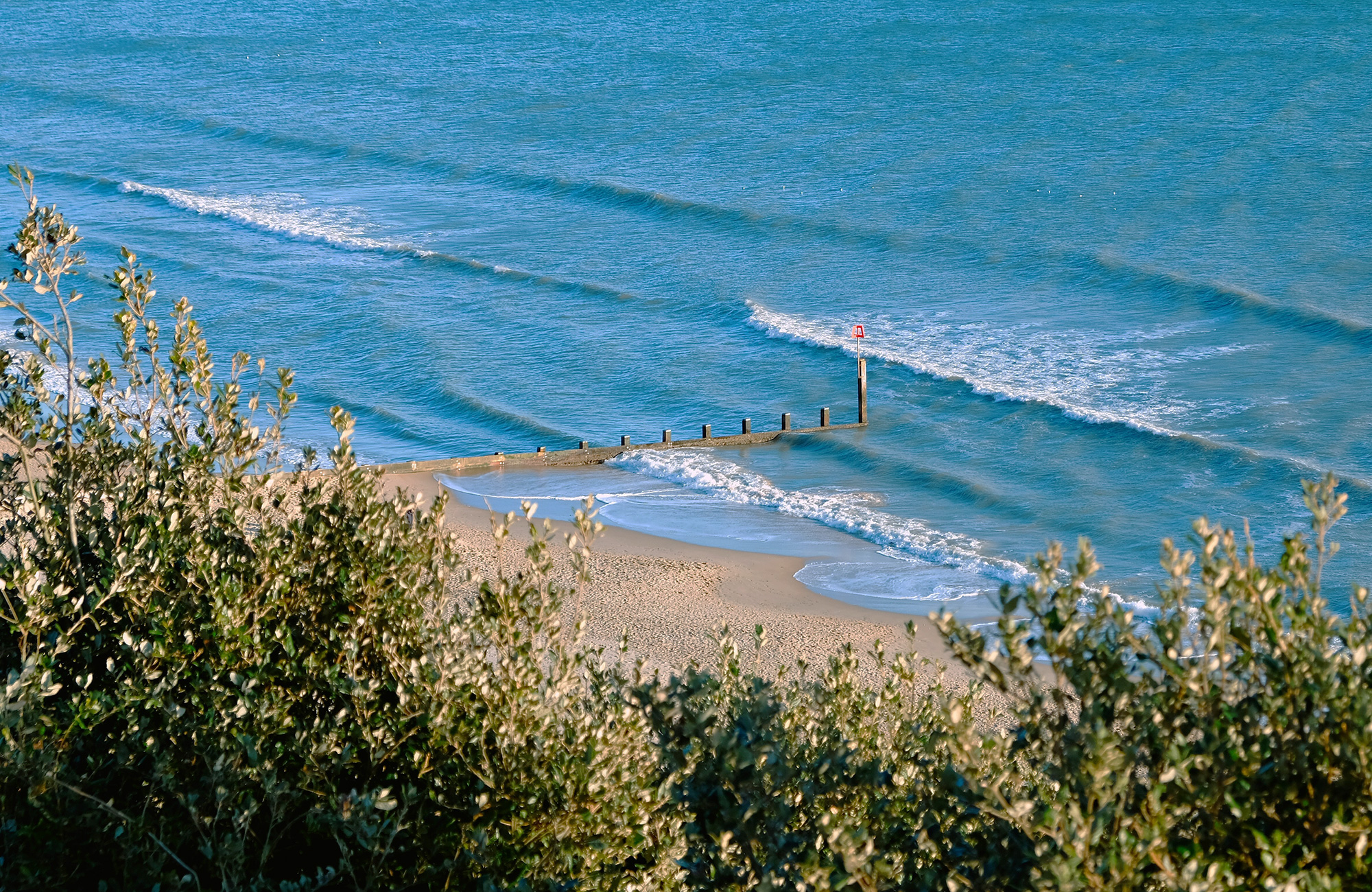Study in Bournemouth