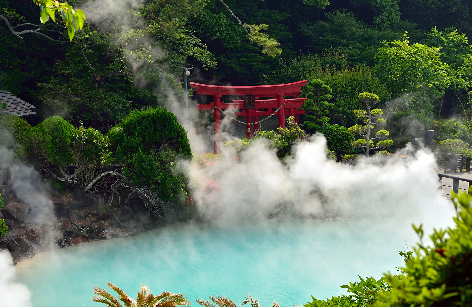 Study in Beppu, Japan