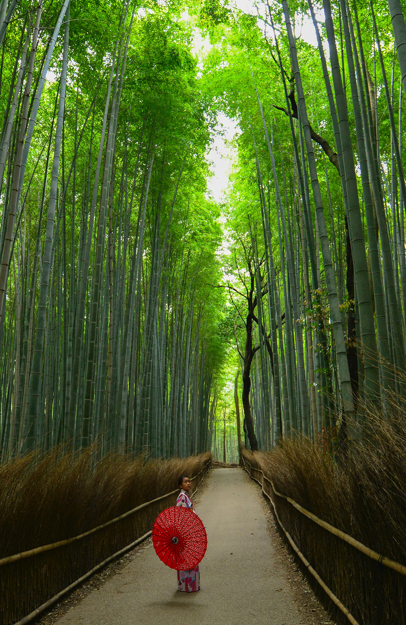 explore japan while studying in japan