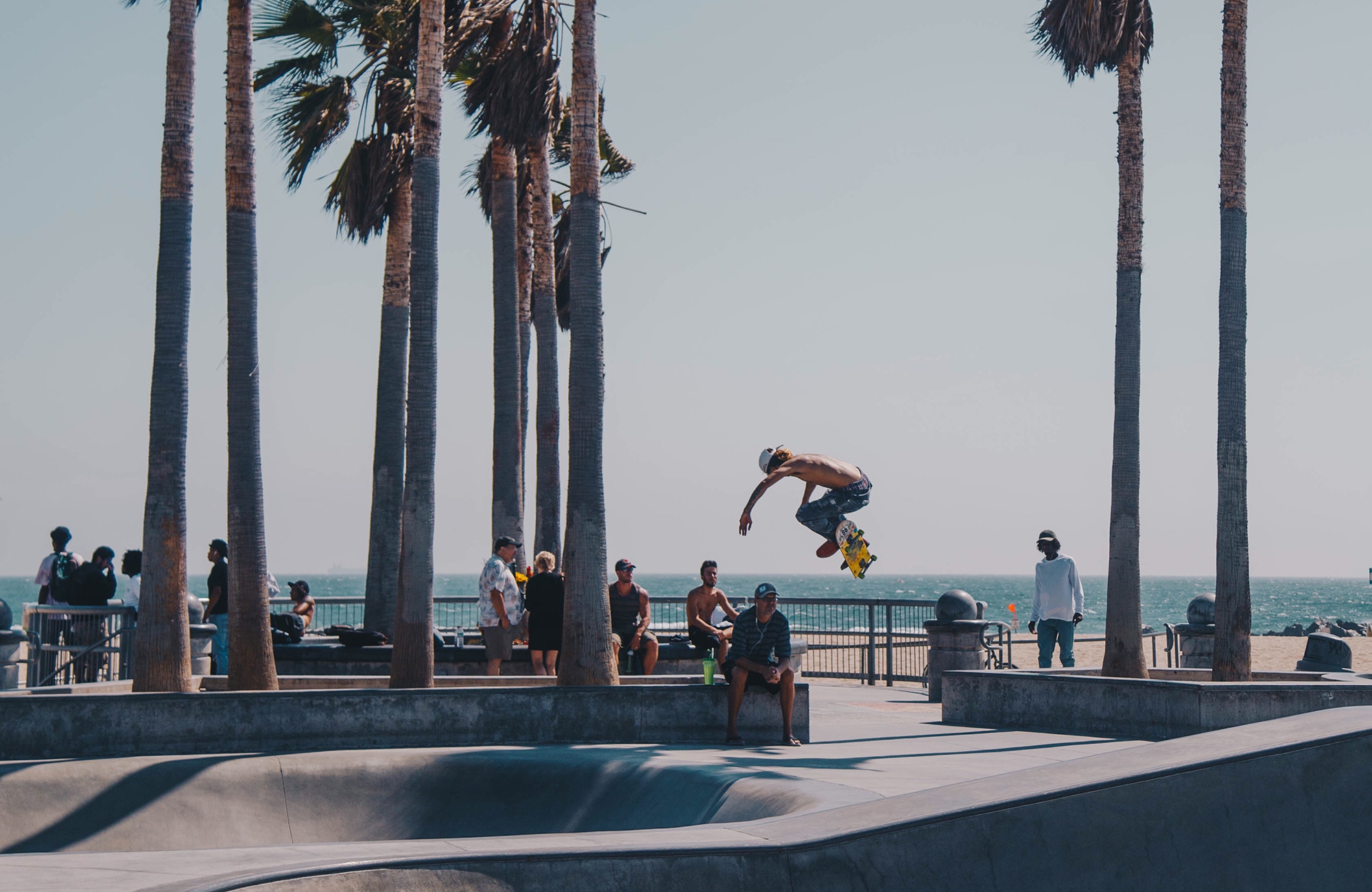 a skater and palm trees in Malibu in California