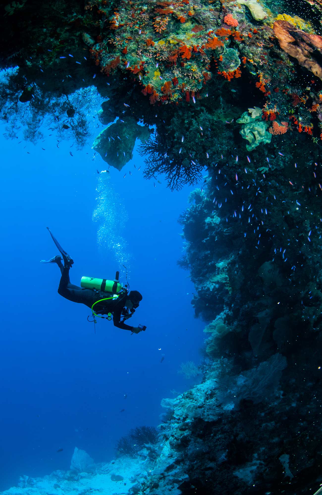 diving-general-onde-diver-and-coral-sidebar