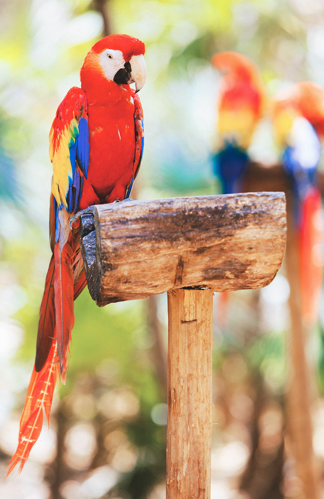 Sprogkursus i spansk i Ecuador | KILROY