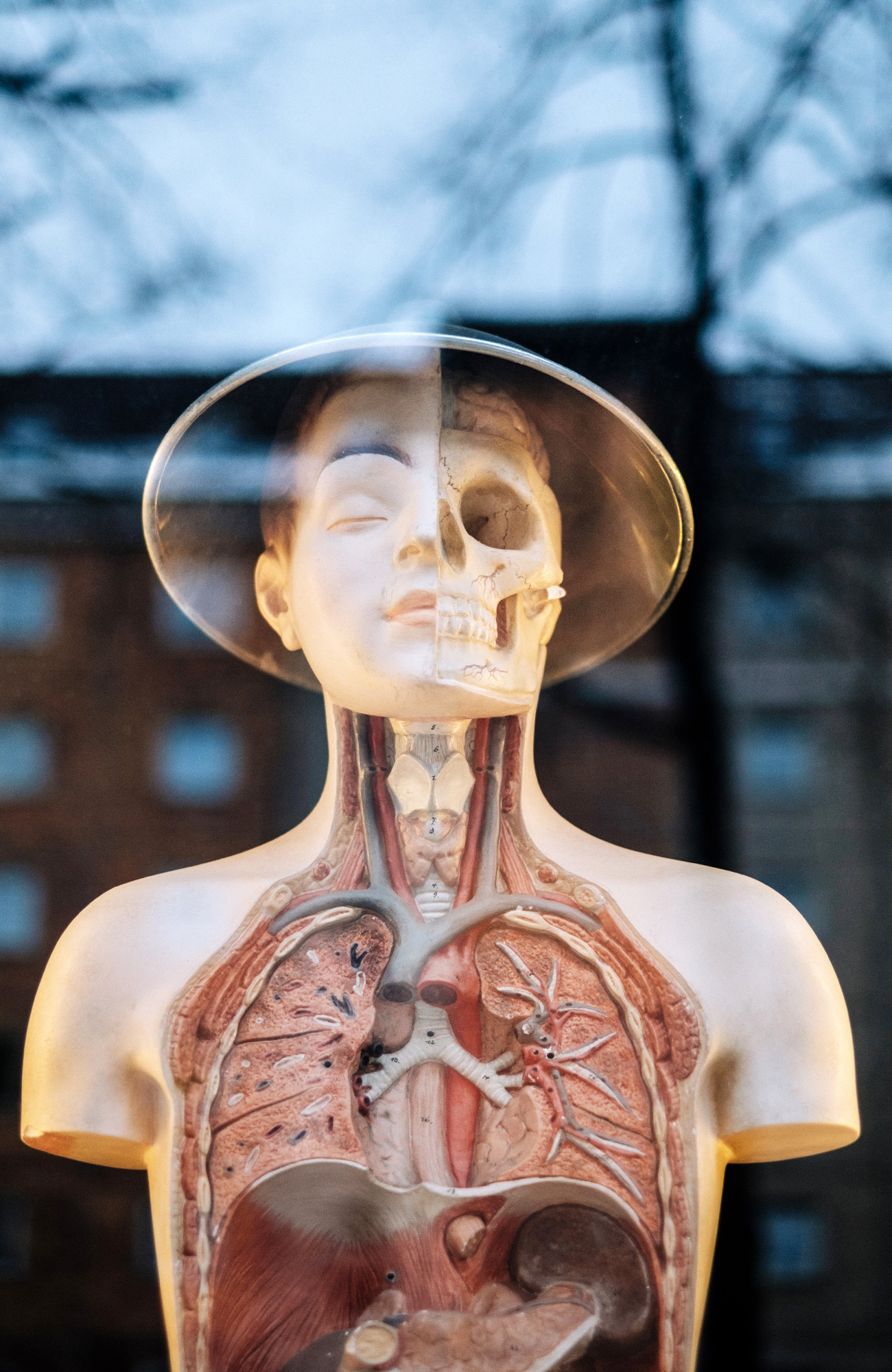 Study medicine abroad at esteemed universities | KILROY