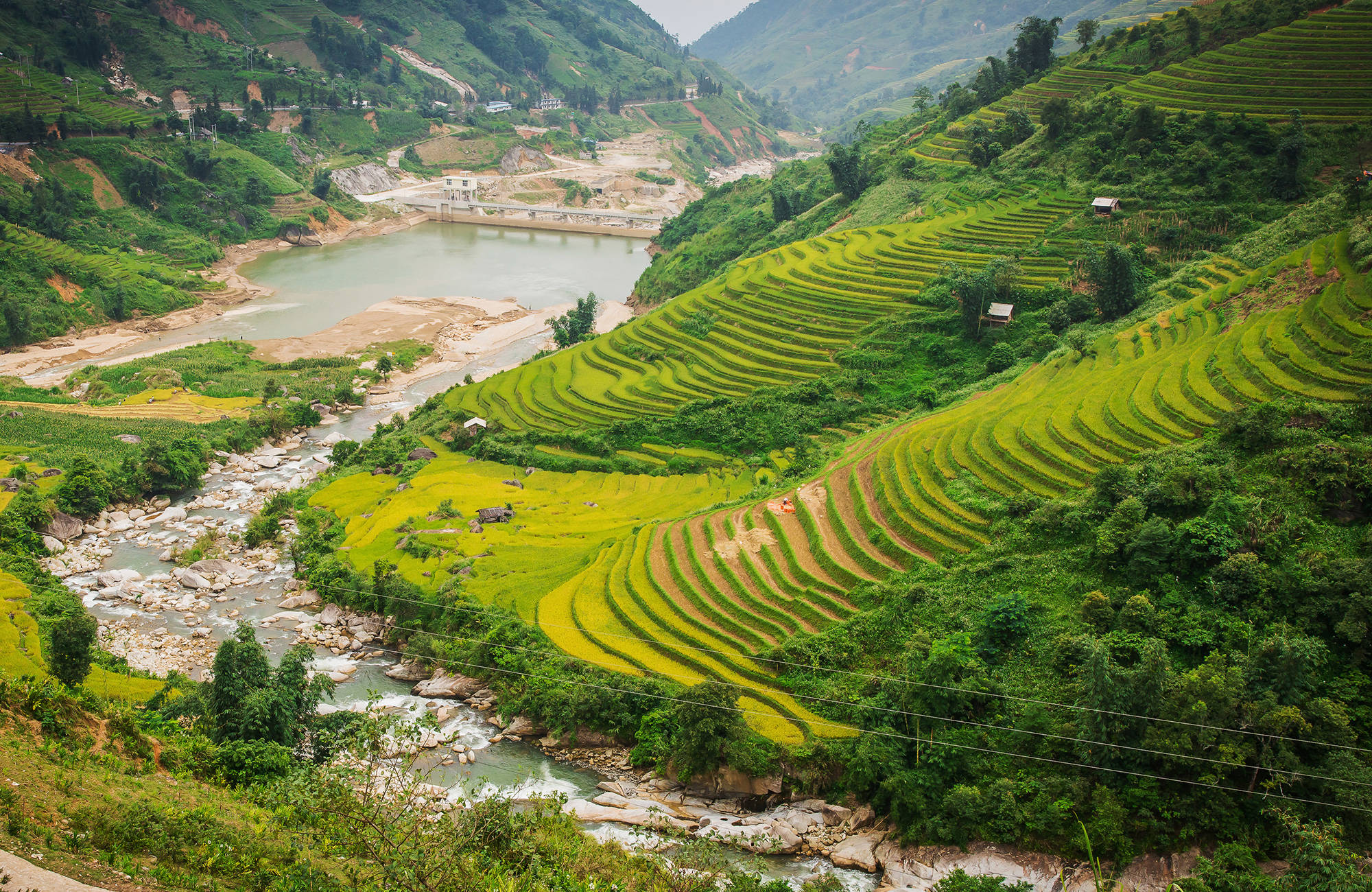 vietnam-sapa-rice-terrace-harvest-season-cover