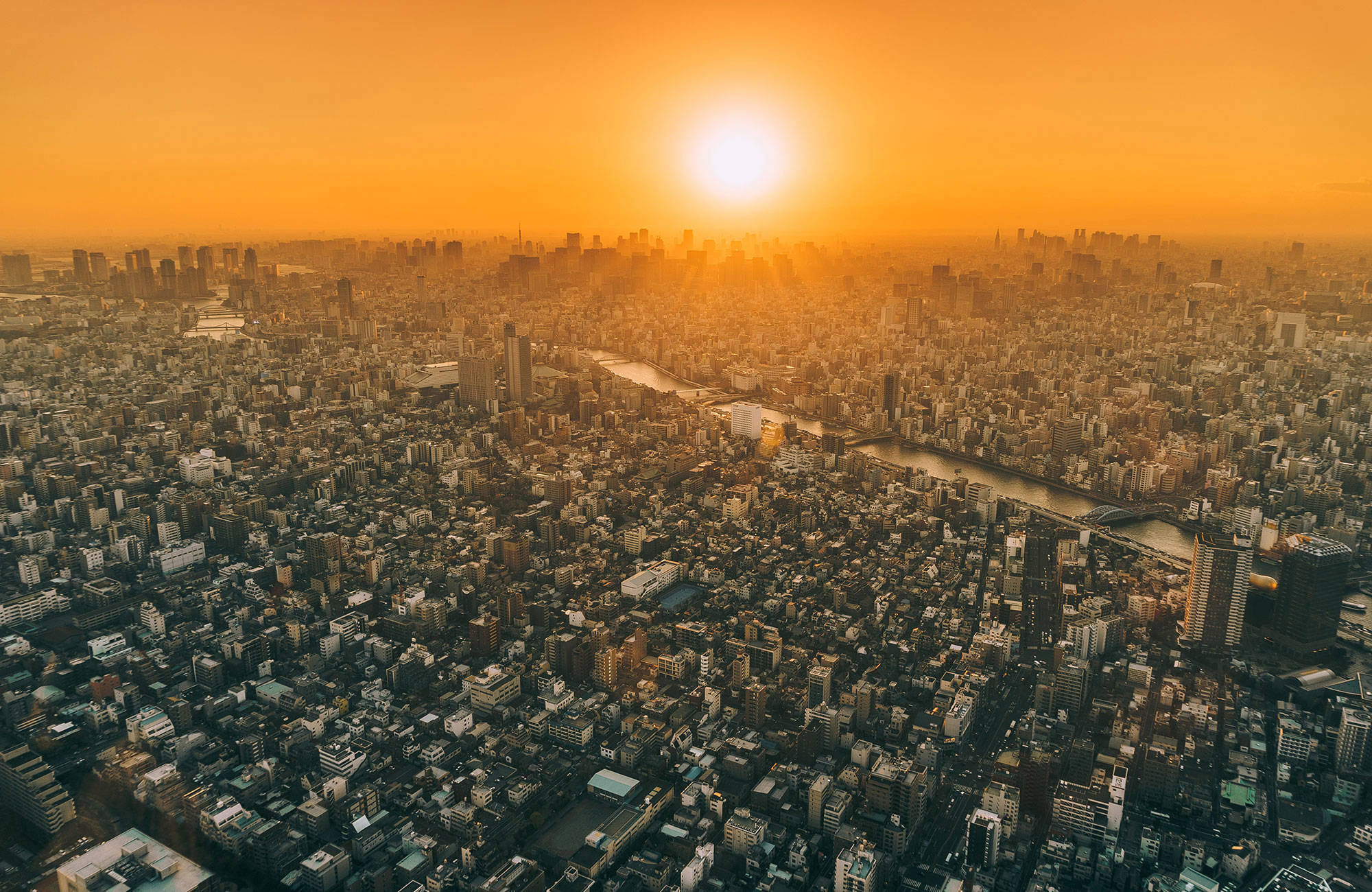 tokyo-japan-sunrise-over-city