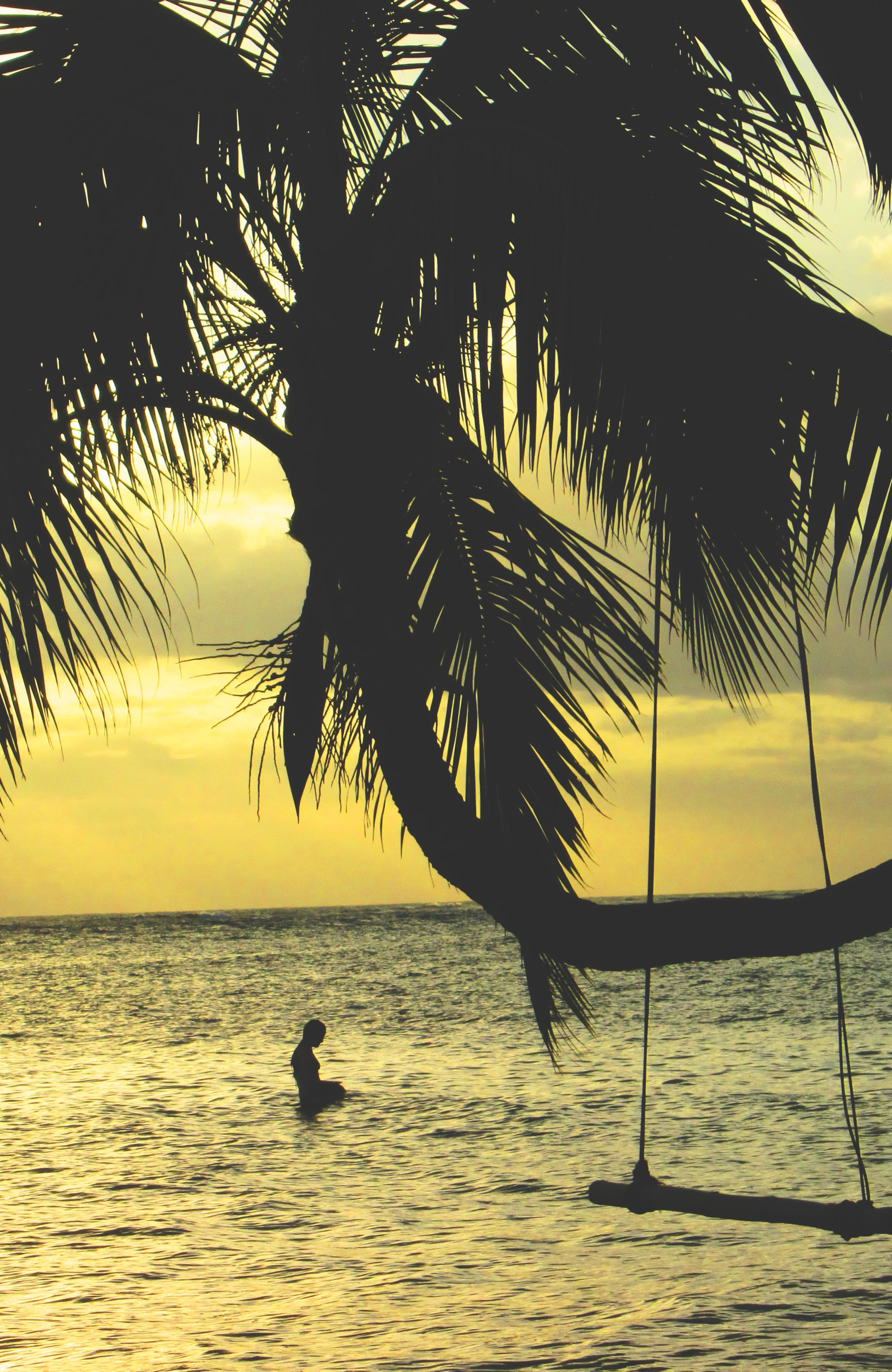 fiji-person-swimming-palm-tree-sidebar