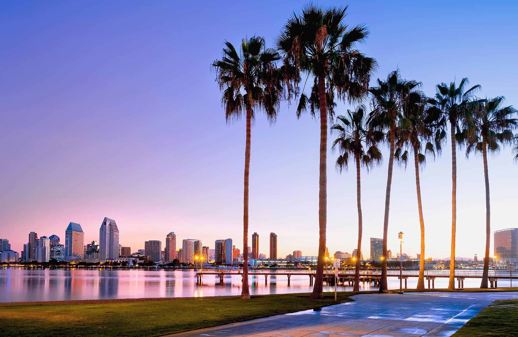 north-america-usa-san-diego-palmtree-water