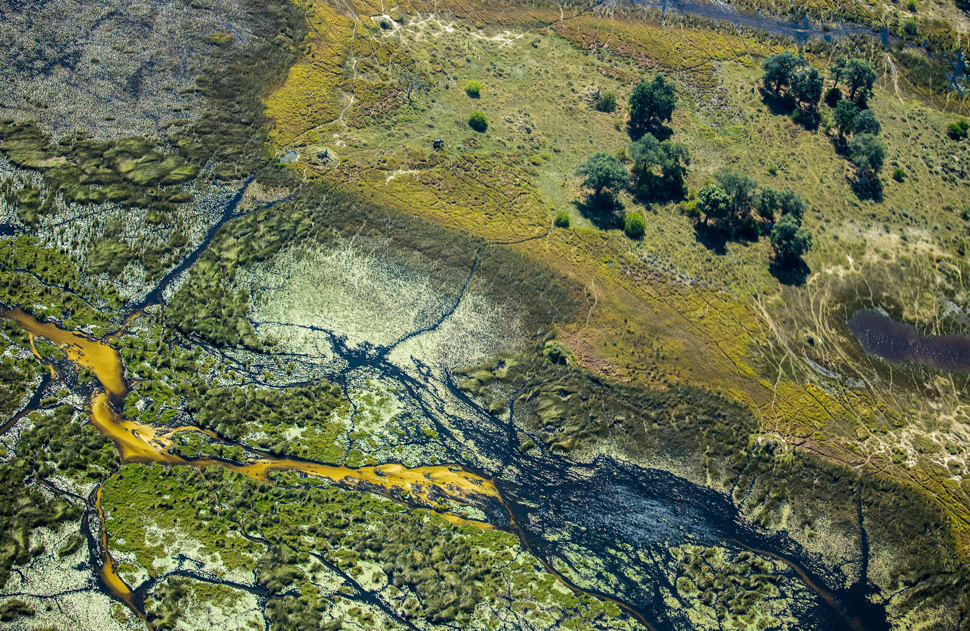 Okavango Delta seen from above | KILROY