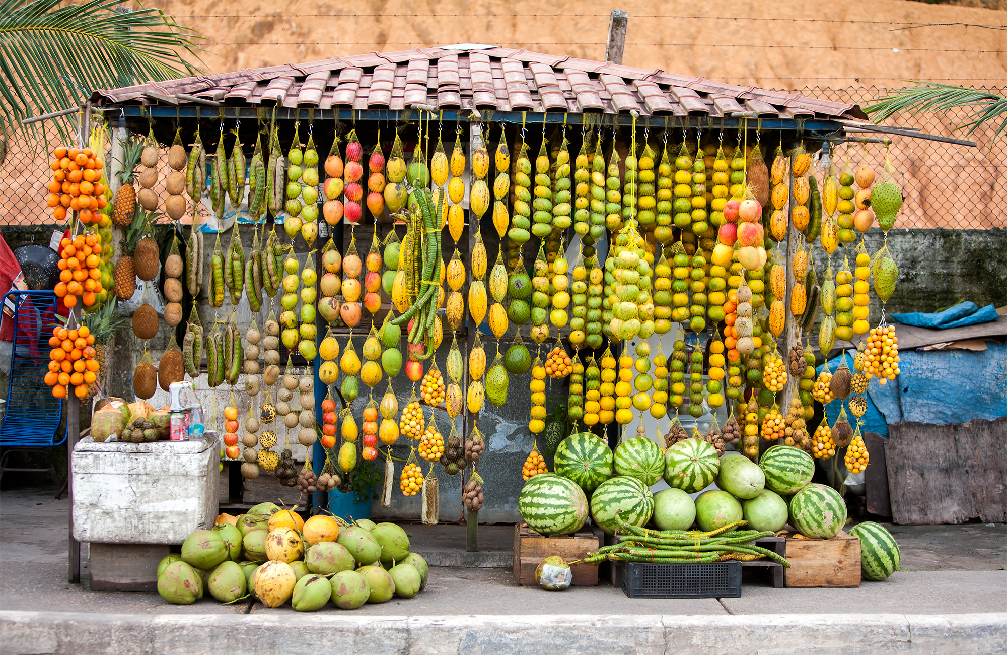 manaus-brazil-fruit-shop-street-amazon-cover