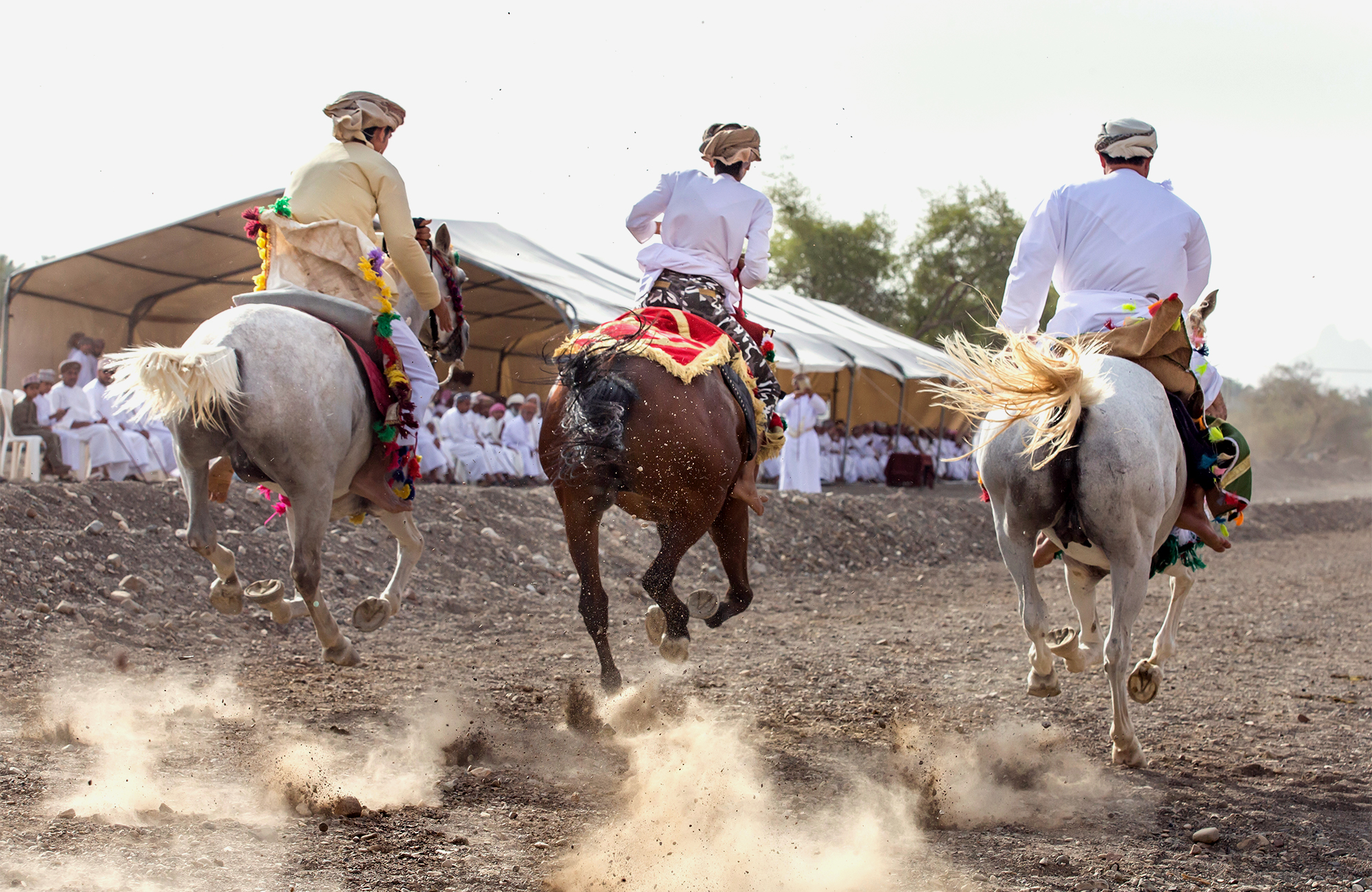 oman-horse-riding-dust-cover
