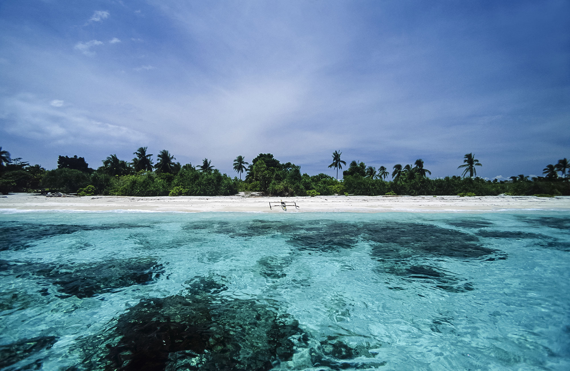 White sandy beach with a very clear light blue ocean, and in the background the jungle starts with palm trees and other vegetation.