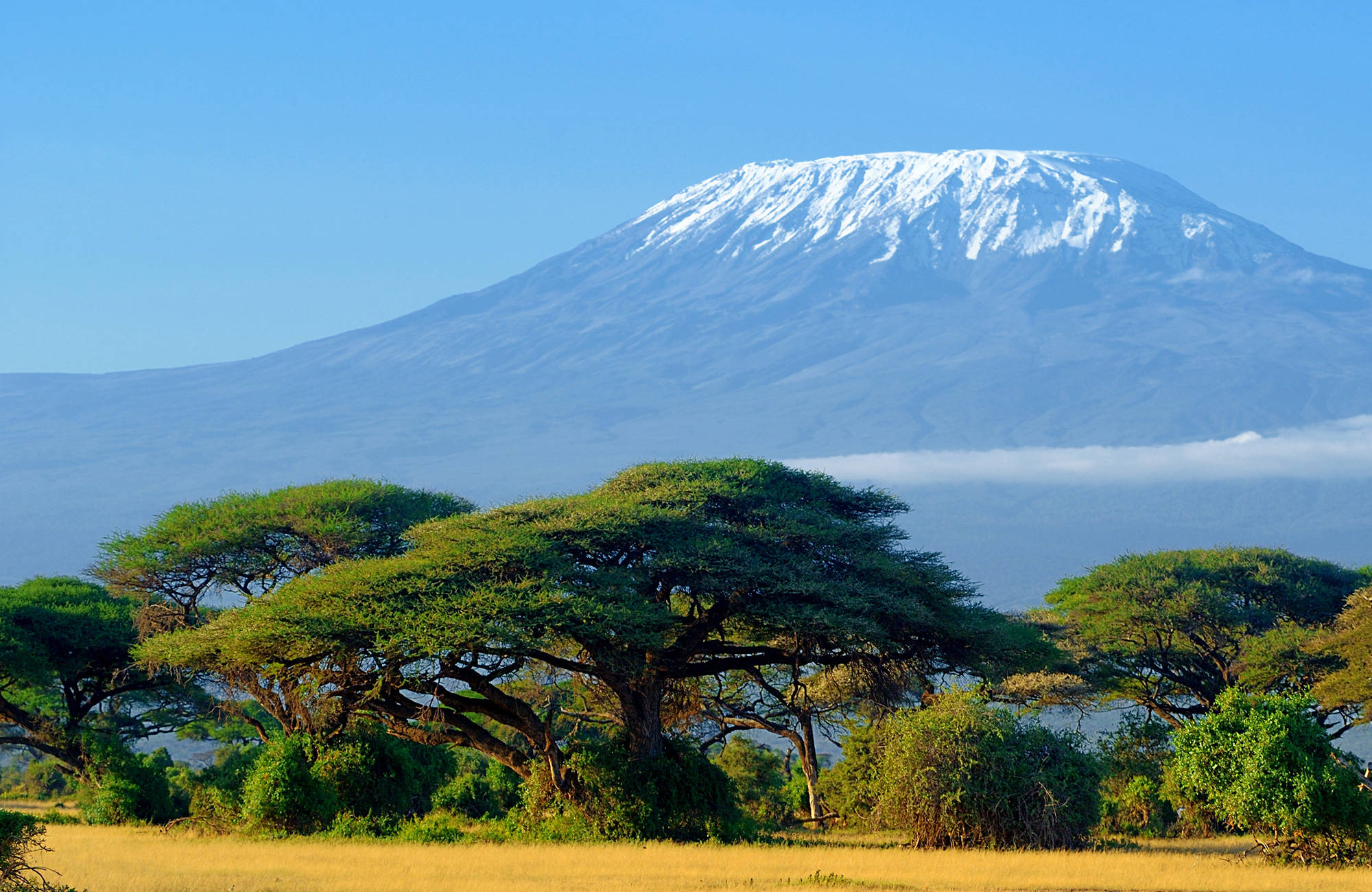 kilroy travel kilimanjaro