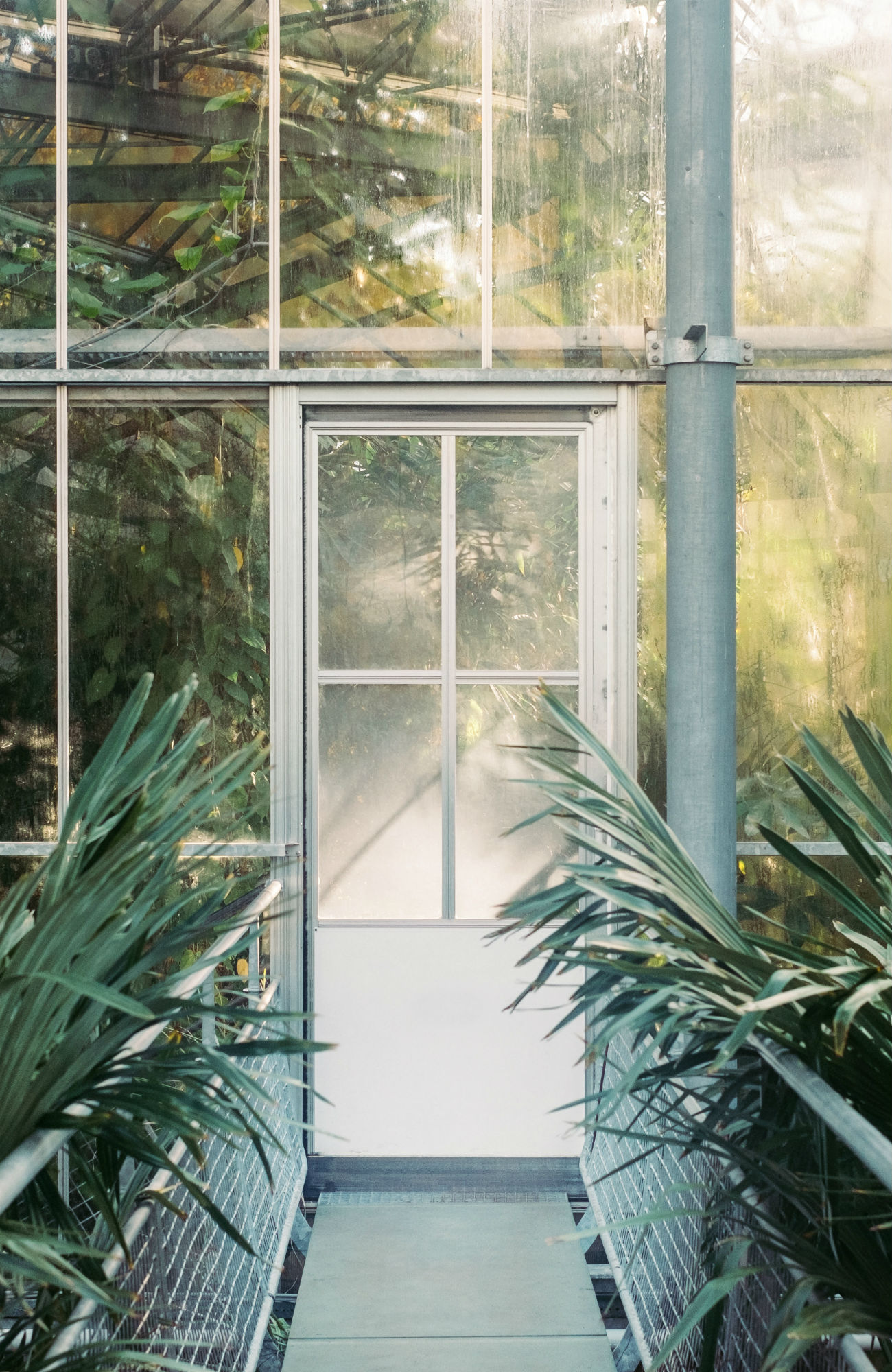 Study biology at universities abroad | KILROY