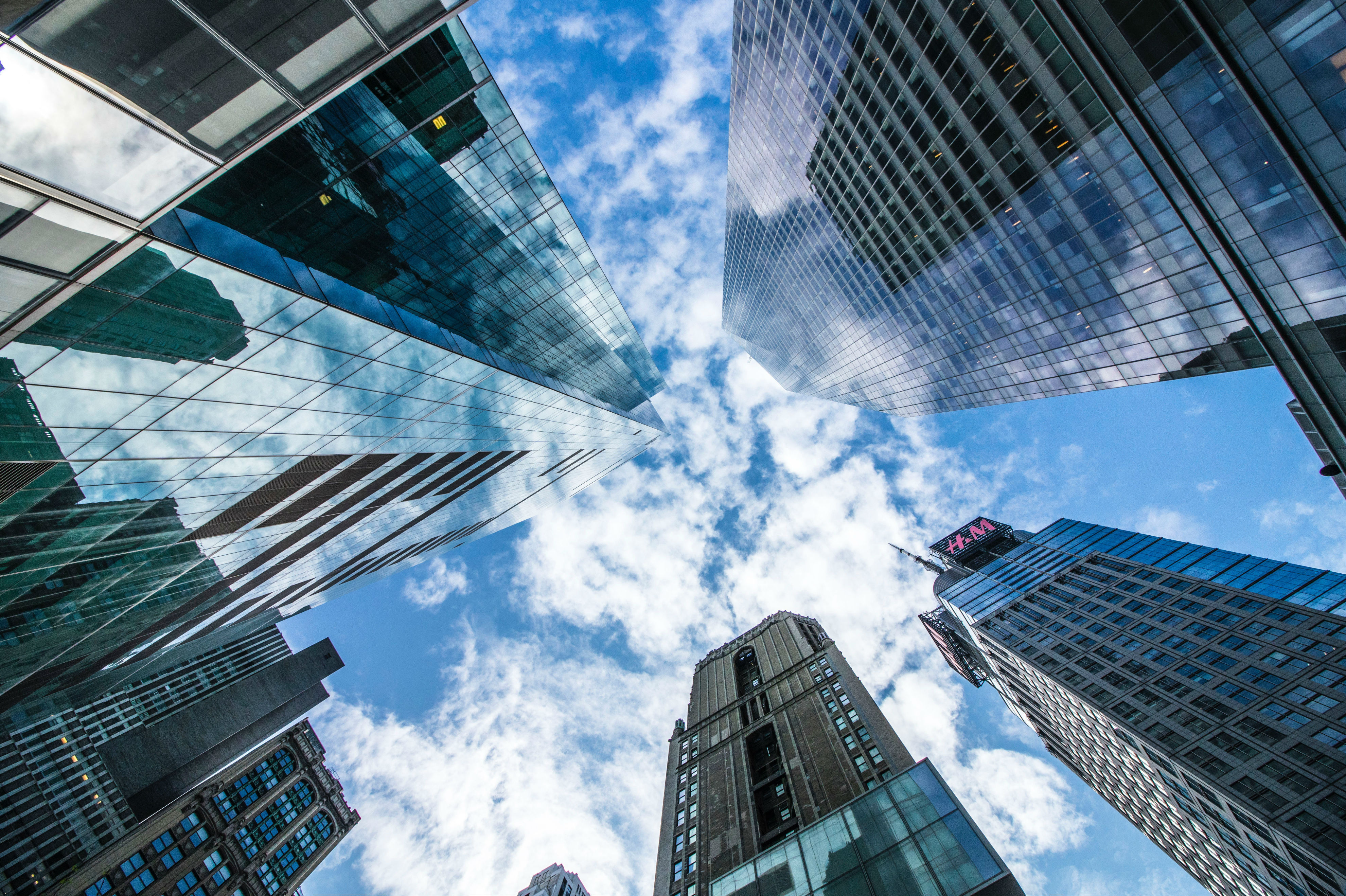 study-field-business-building-cover