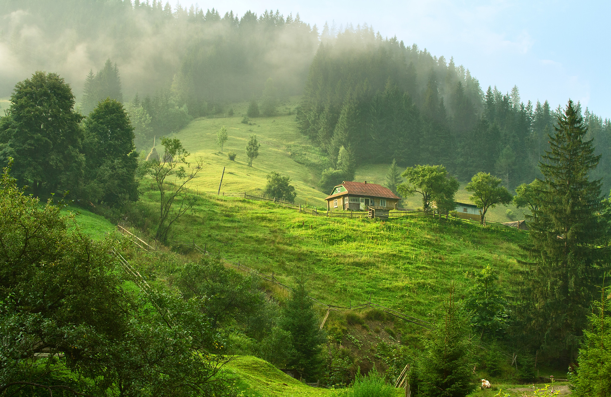 Study tours and group travel to Ukraine