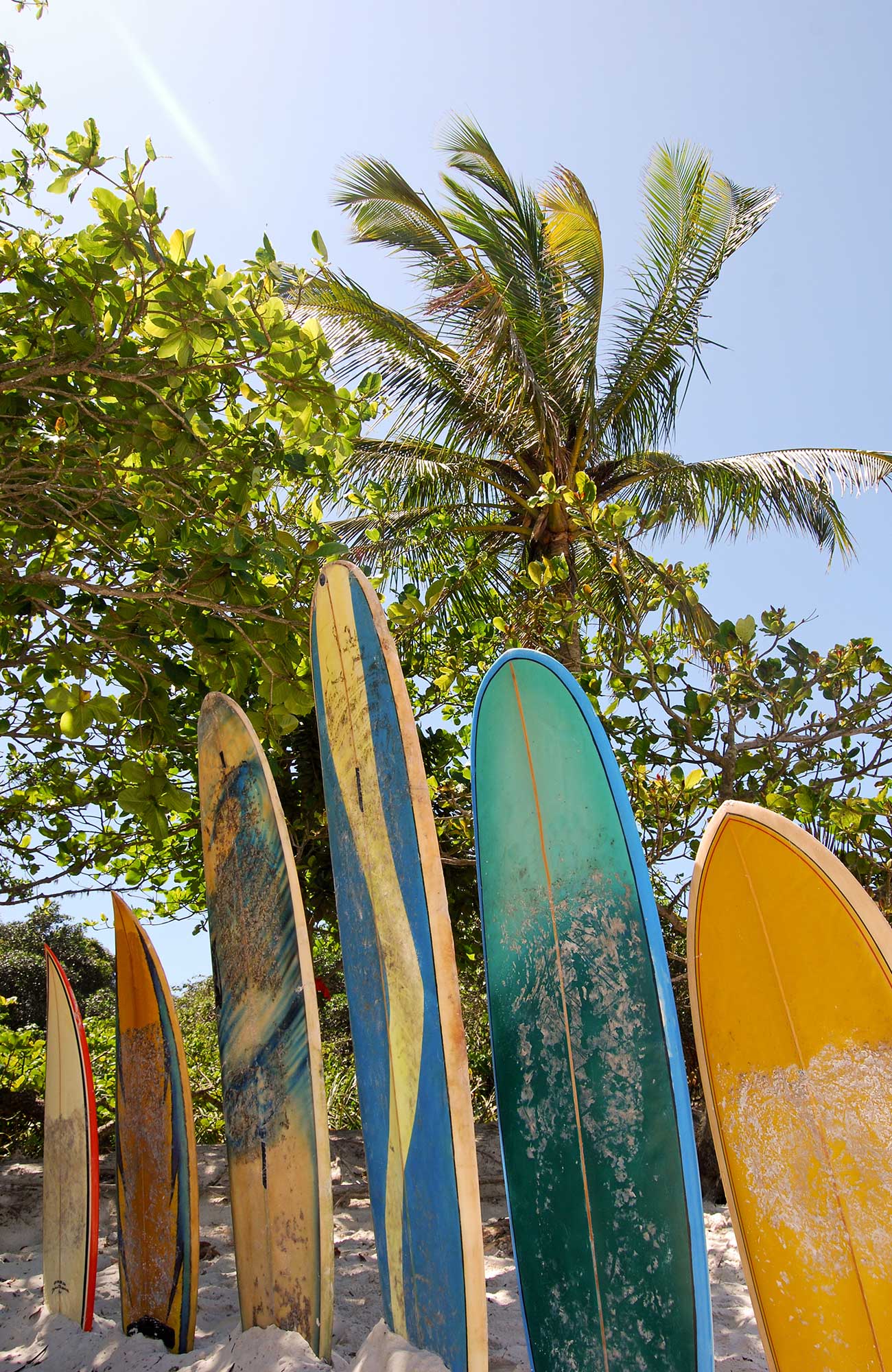 surfing-brazil-surfboards-on-beach-ilha-grande