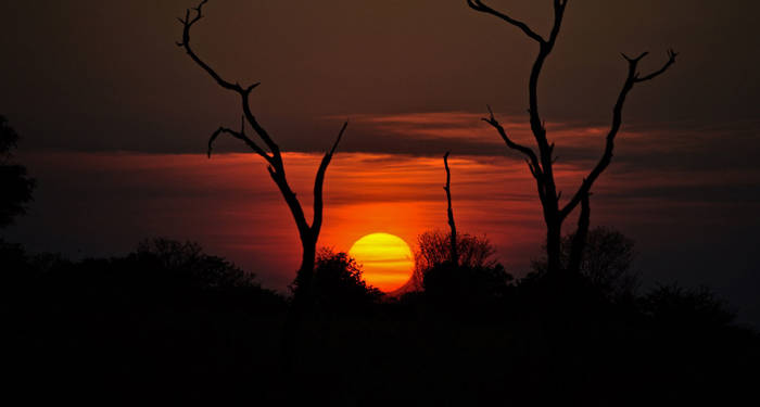 africa-botswana-sunset