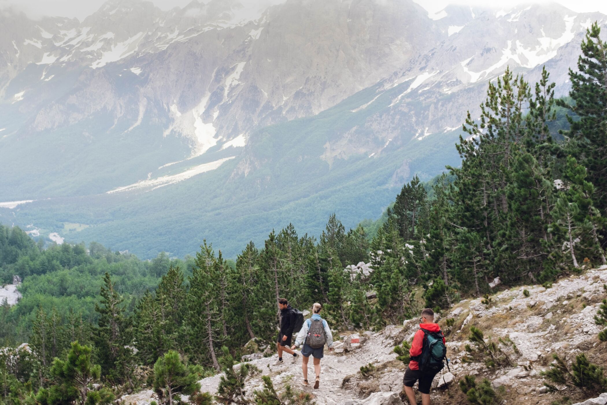 Web Horizontal DSCF9659