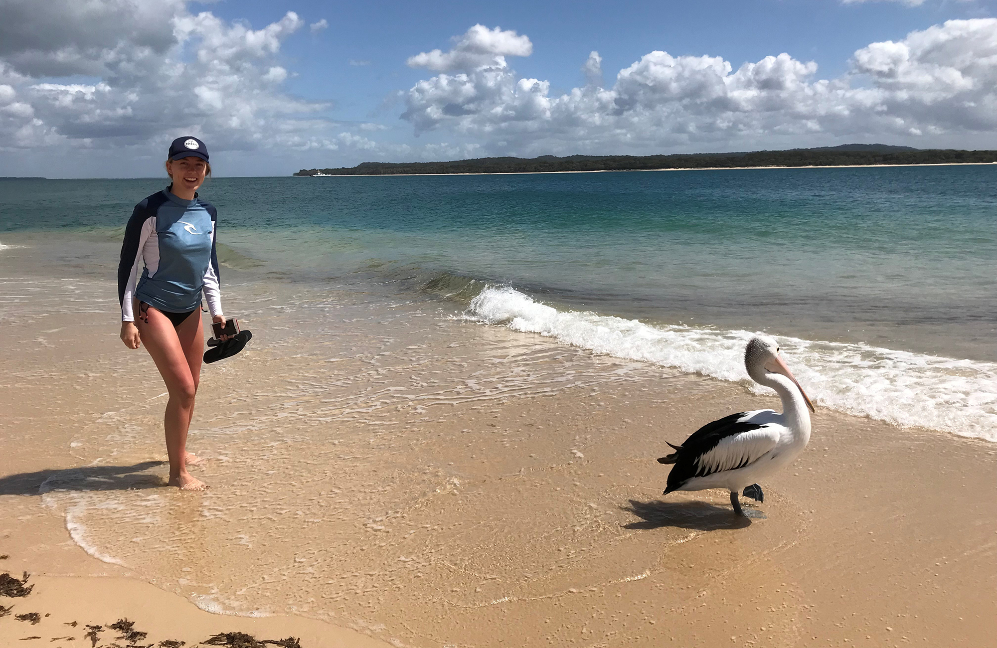 student malin at the beach in australia looking at a pelican