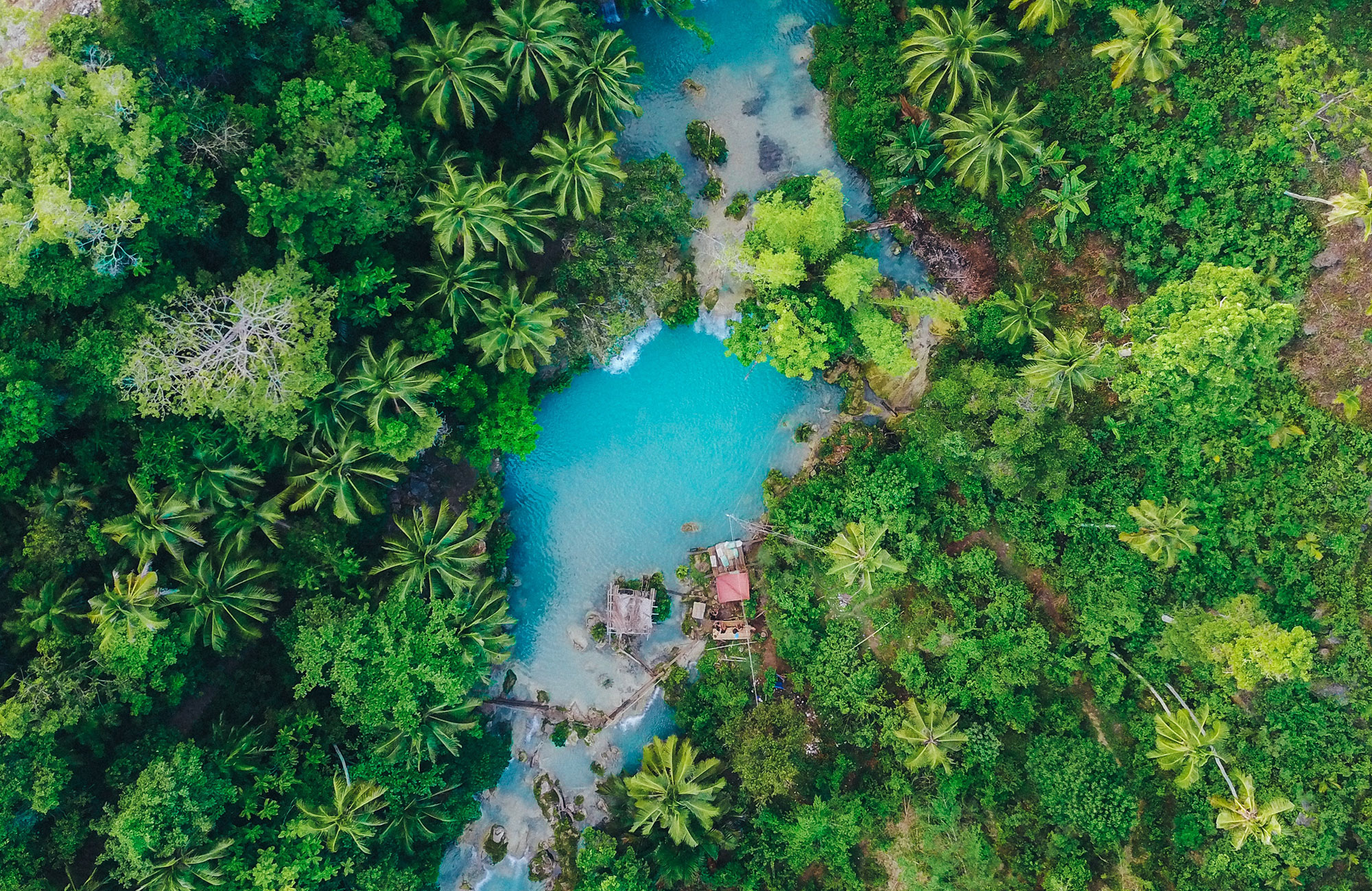 Beautiful jungle river on Siquijor island in the Philippines