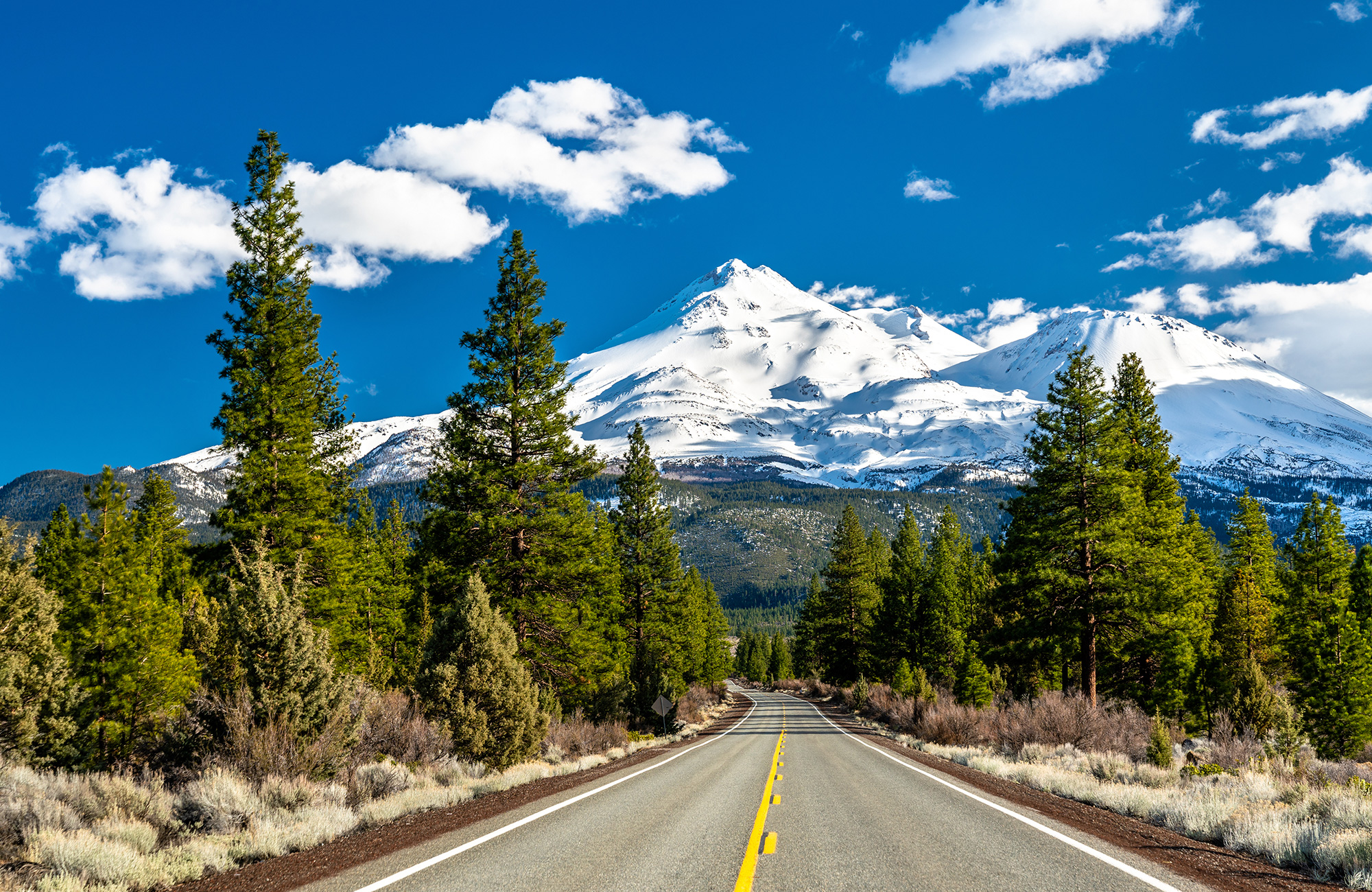 Kuga | Travellers Autobarn