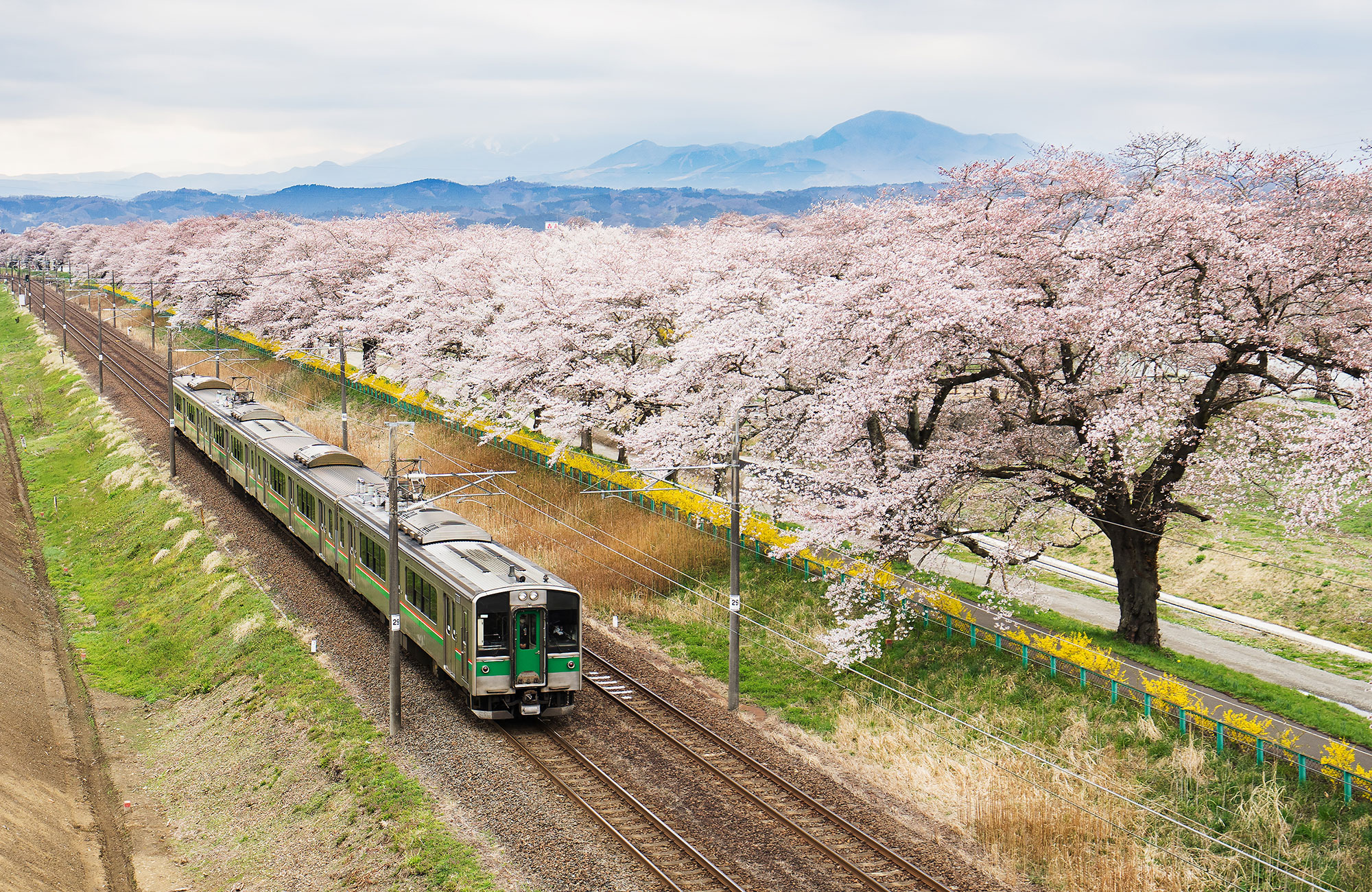 Japan Rail Pass