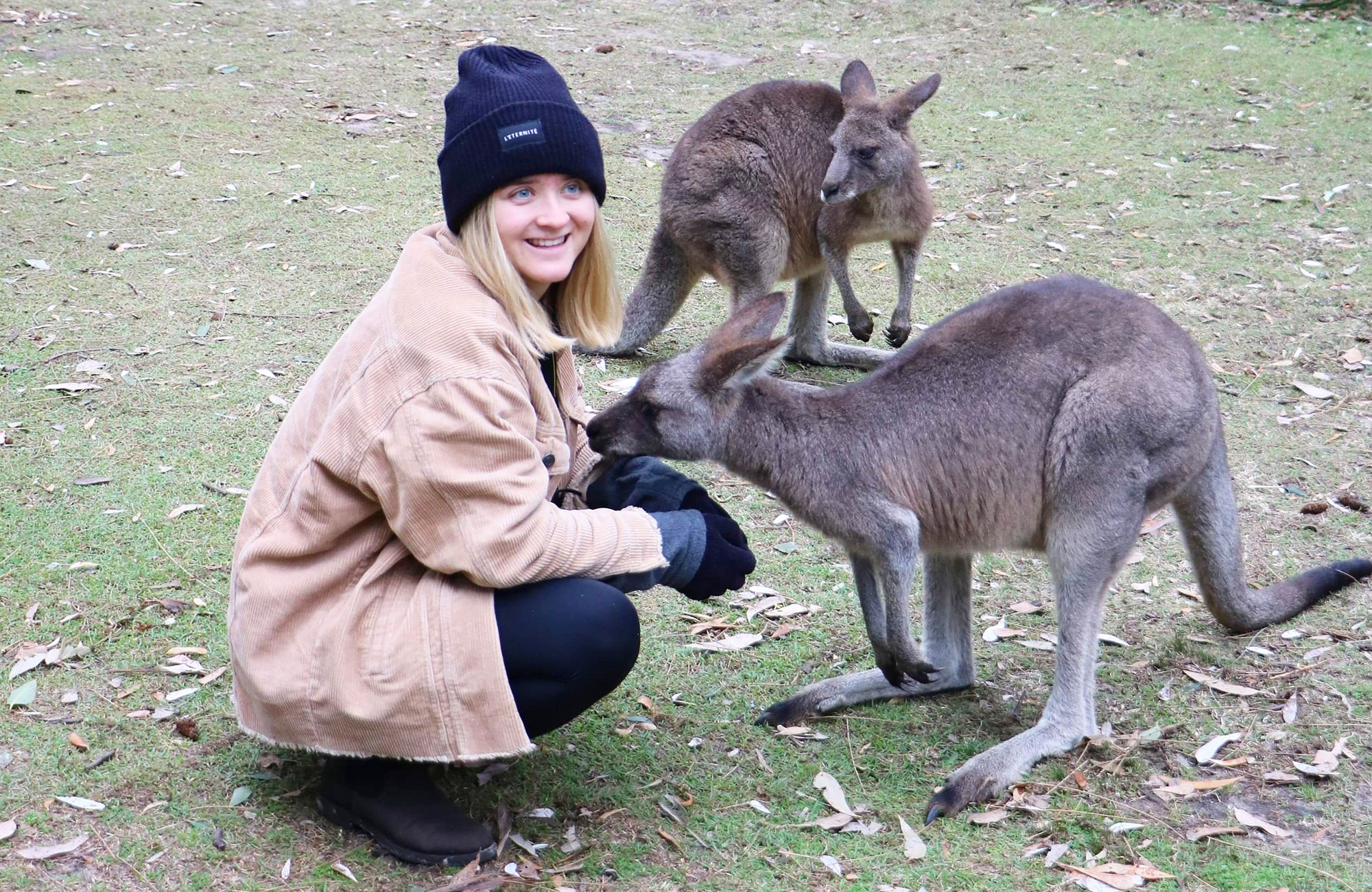 malin at uts in Sydney feeding kangaroos