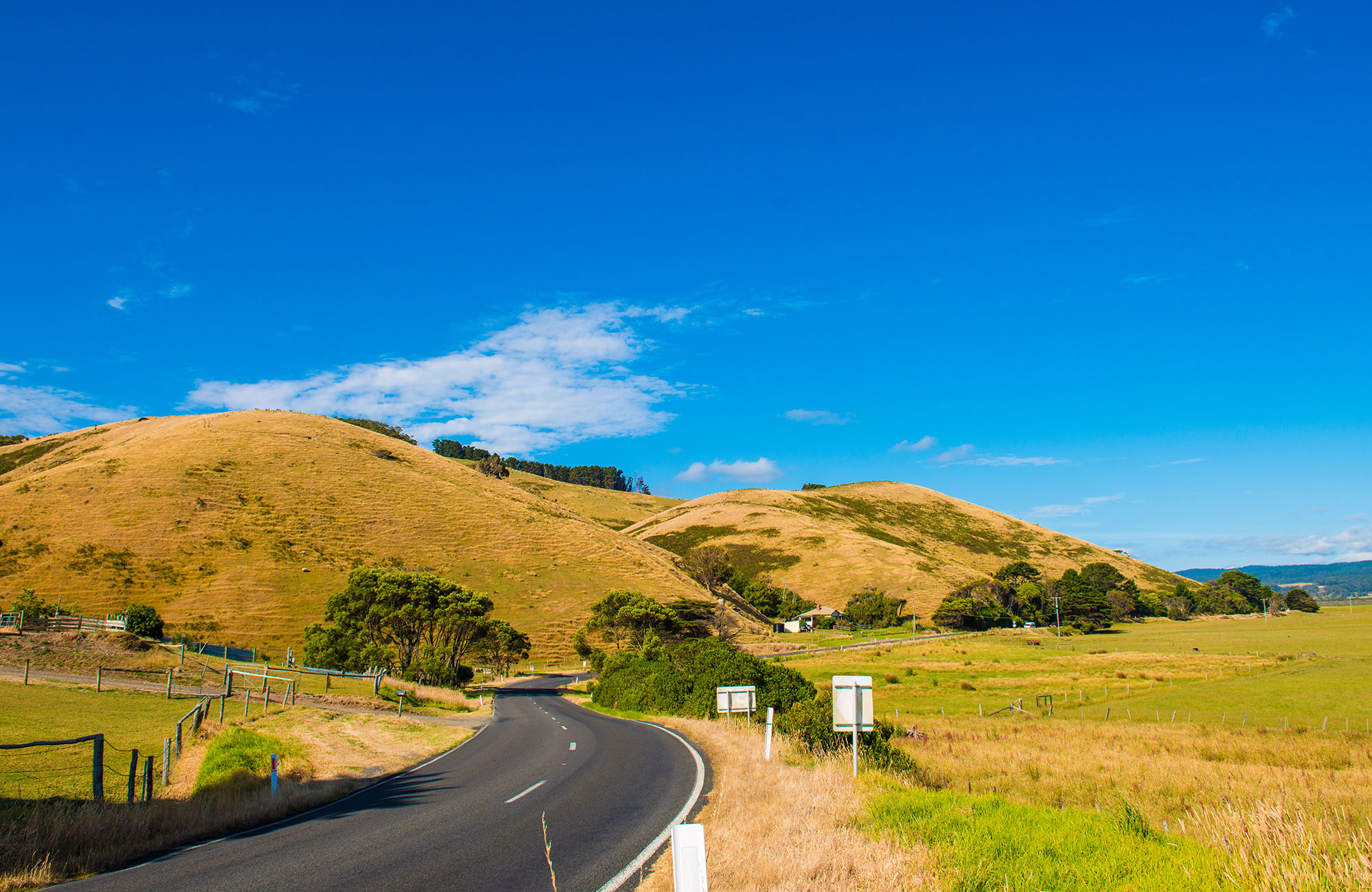 Empty road through yellow, grassy hills on the Australian countryside