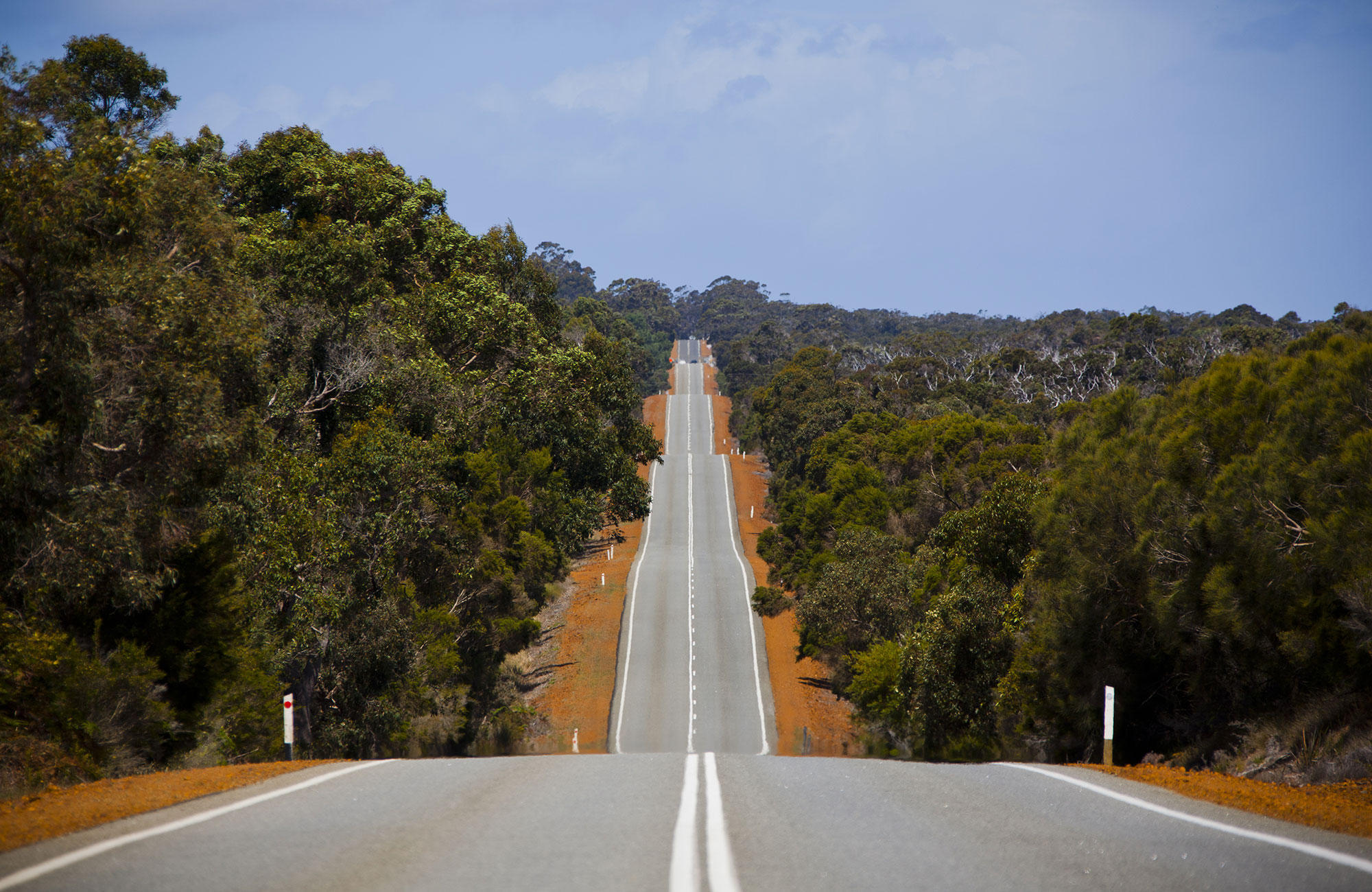 Empty road across hilly terrain, covered with trees on either side. 