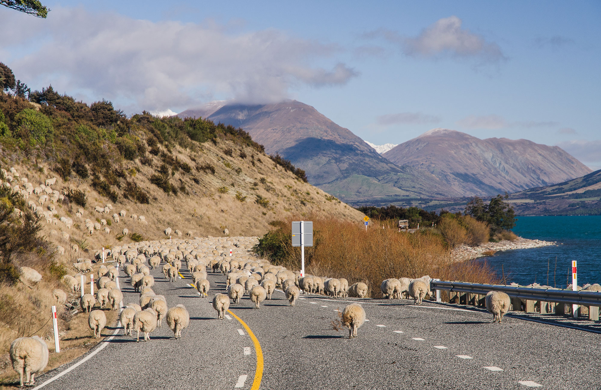 Empty road across hilly terrain, covered with trees on either side. 