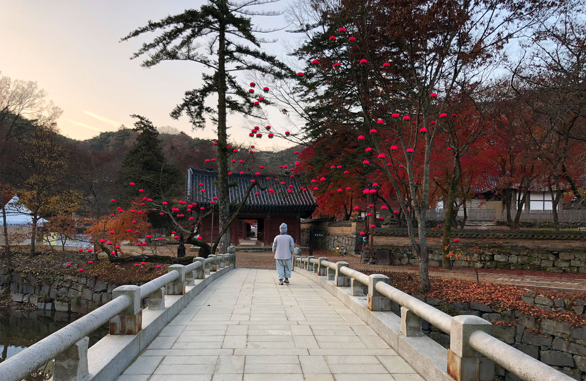 Person walking on a bridge near a temple, with lanterns hanging in the autumn coloured trees