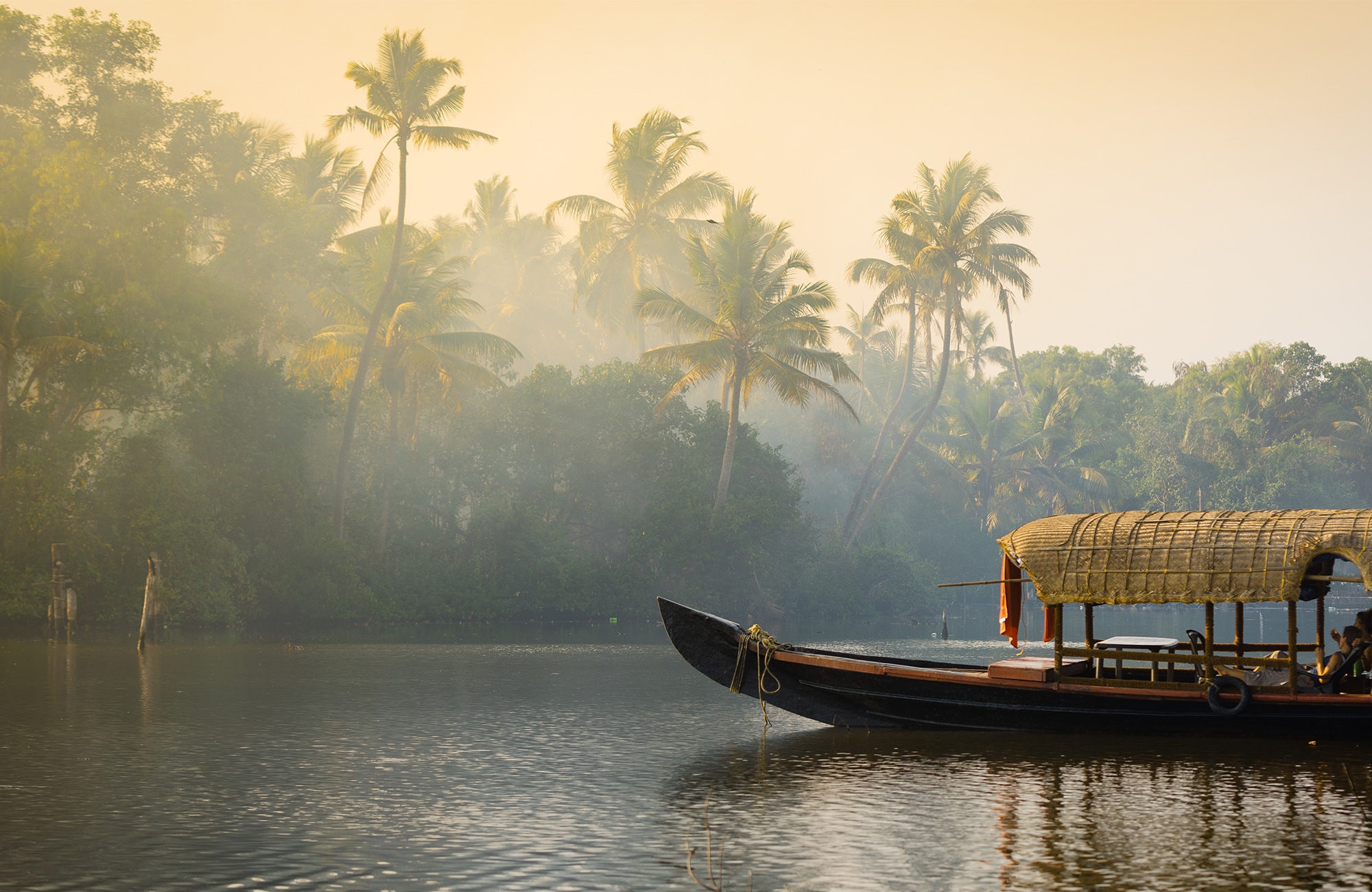 India Kerala Backwaters Traditional House Boat