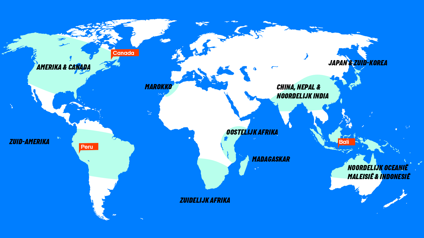 Kaart met beste reistijd juni | Beste bestemmingen juni | Reiskalender | KILROY