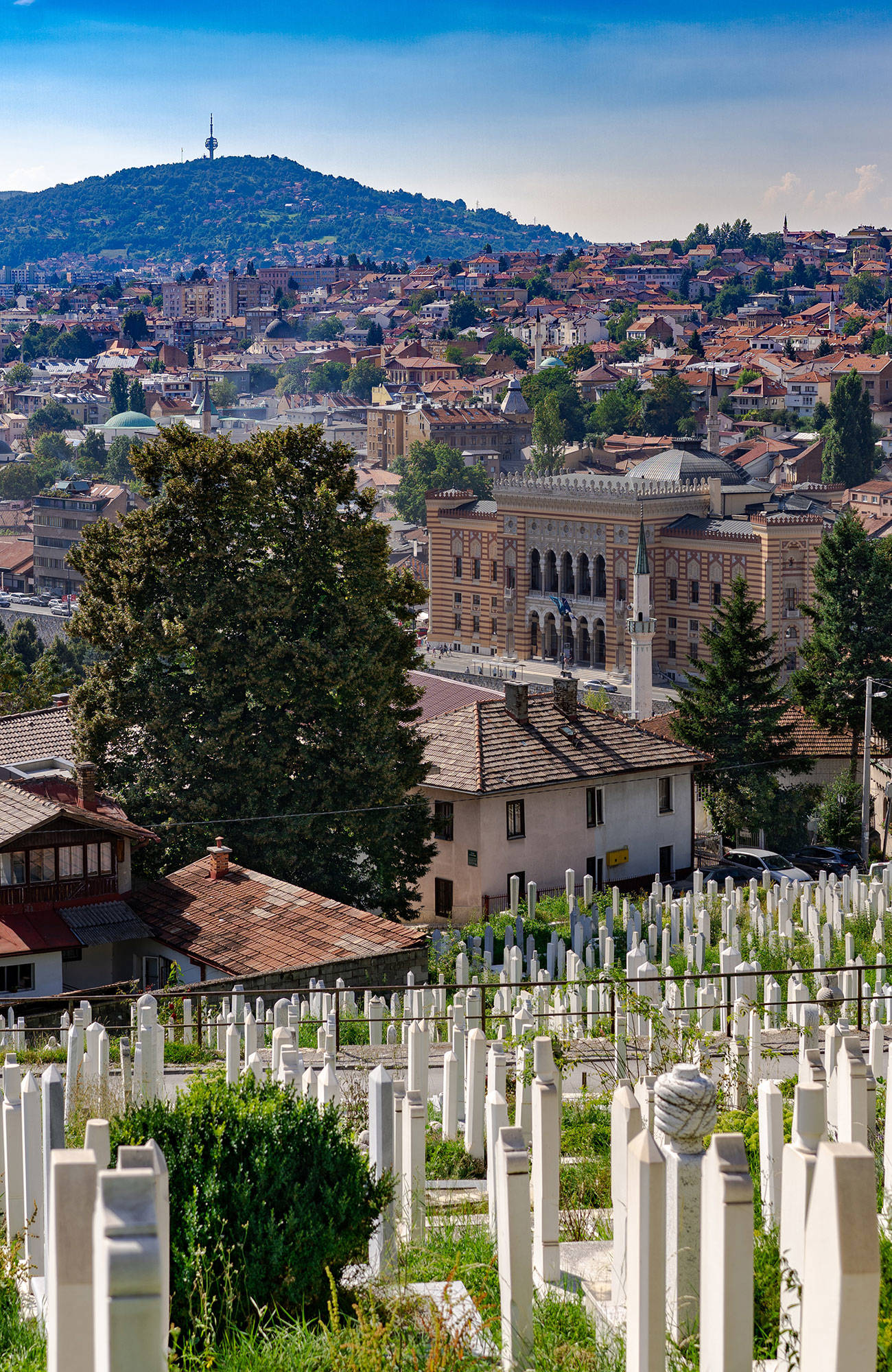 Sarajevo City View Cemerary Mountains