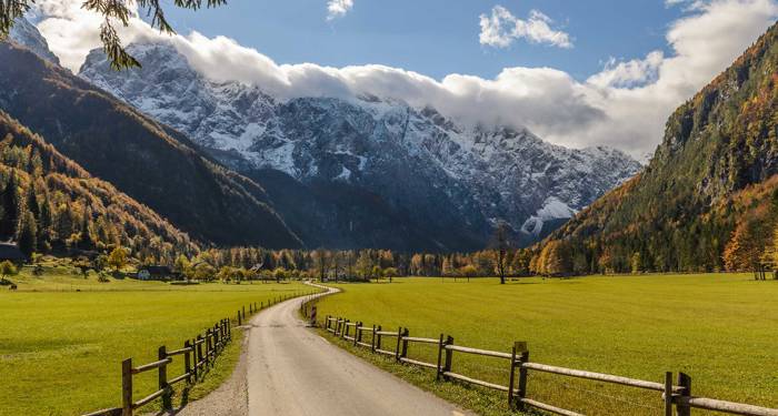 a road in the beautiful logarska valley