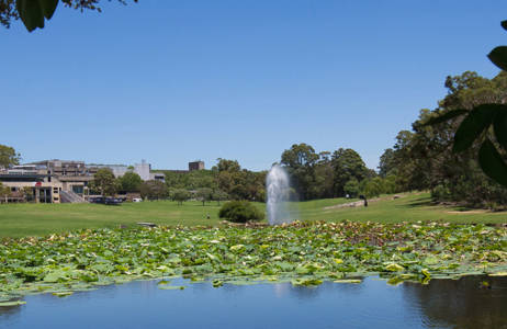 Macquarie University Lake Field