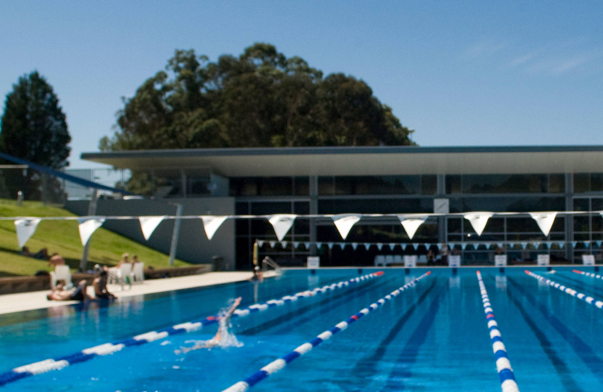 Macquarie University Swimmingpool
