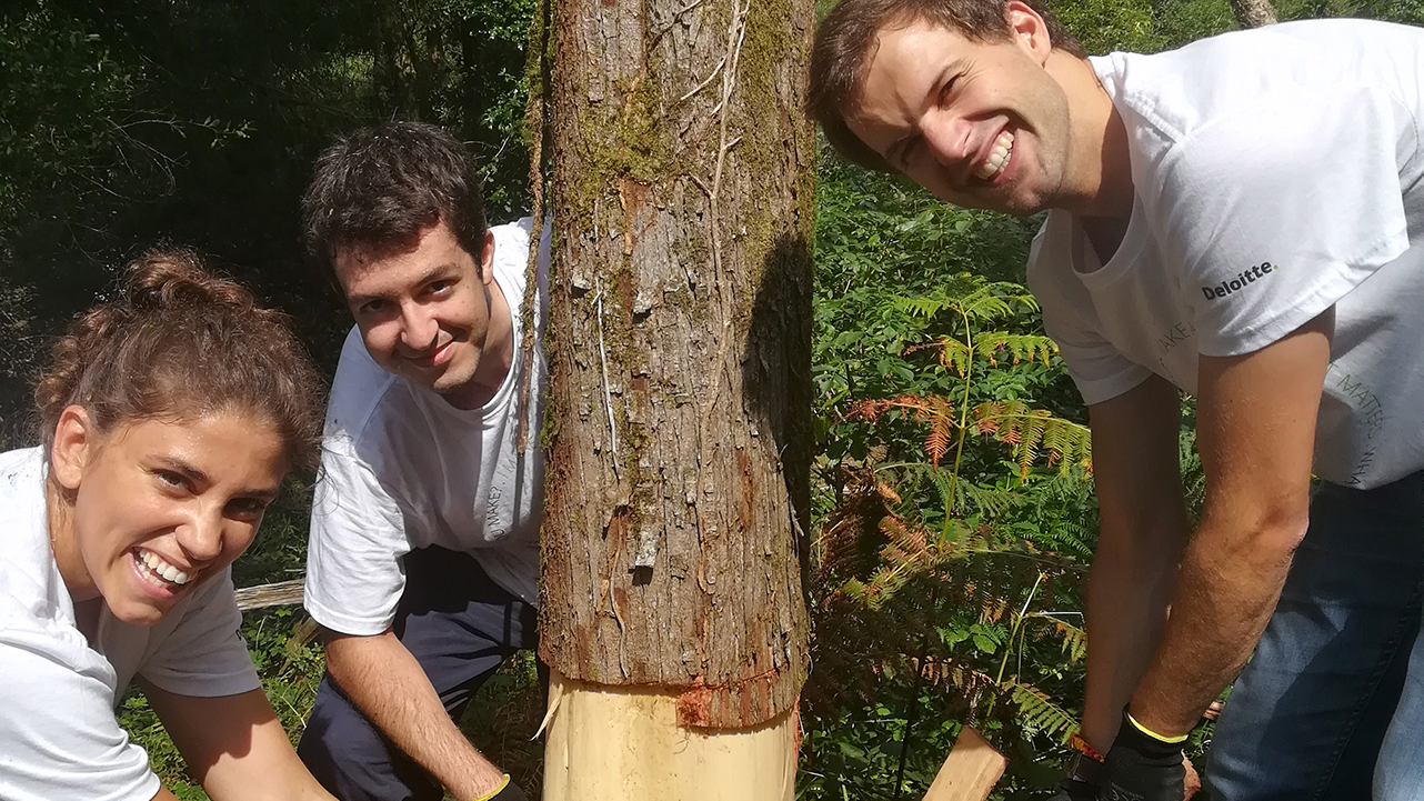 Volunteers on a forest conservation project in Lisbon, Portugal
